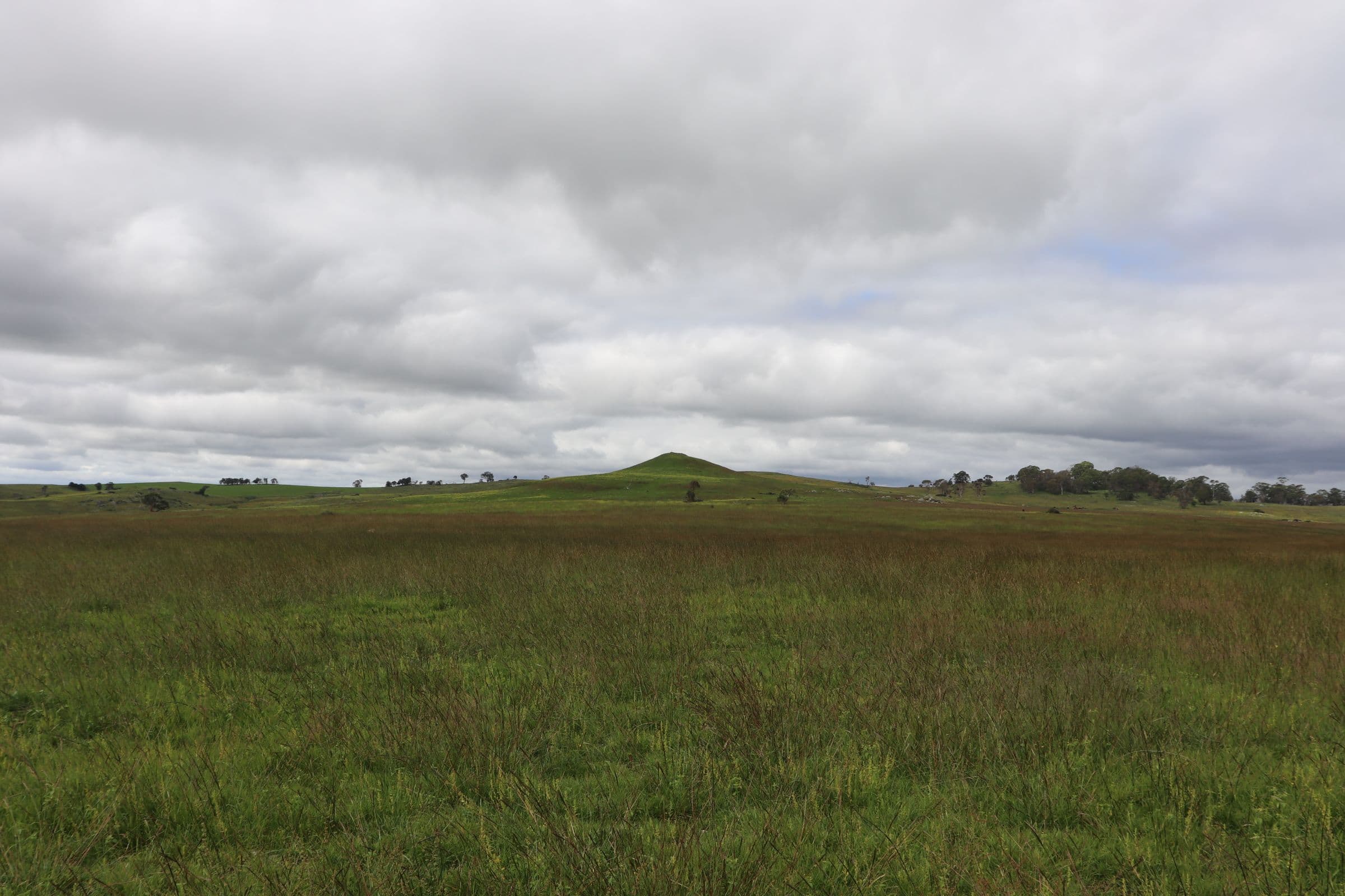 1279 Glen Legh Road, Glen Innes NSW 2370, Glen Innes - Thumbnail 8