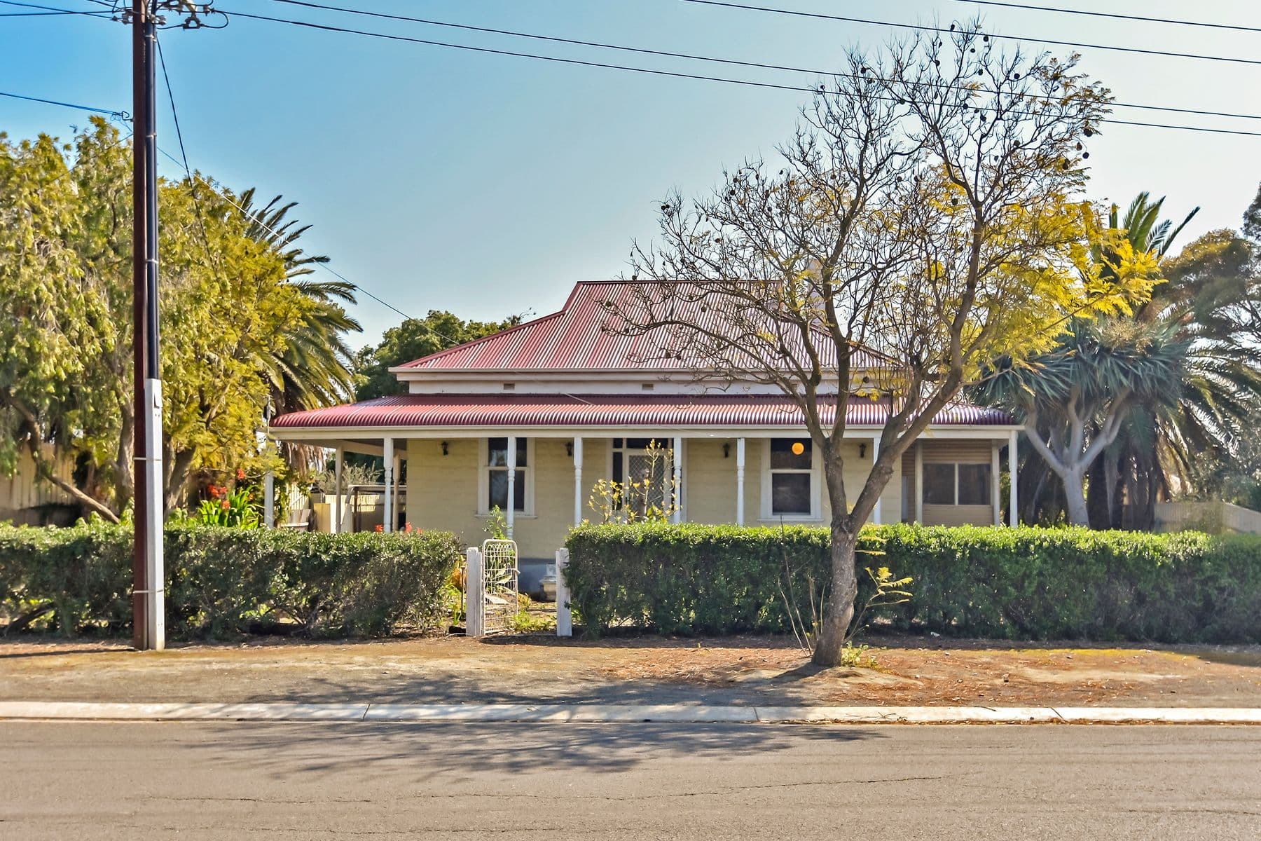 43 Borrow Street, Freeling SA 5372, Freeling - Thumbnail 2