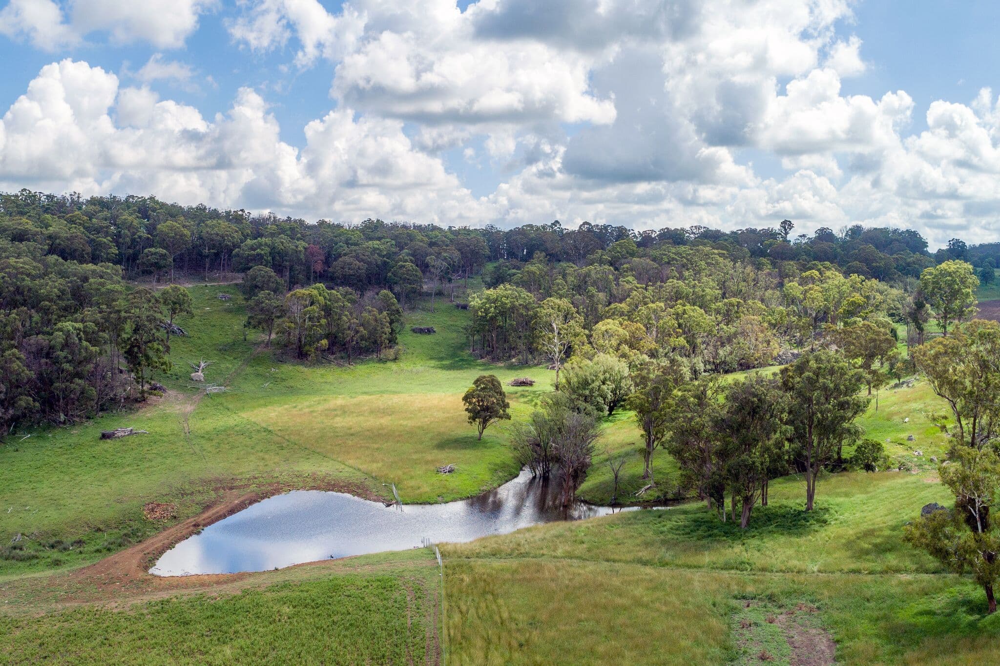 290 Blue Hills Road, Glen Innes NSW 2370, Glen Innes - Thumbnail 2