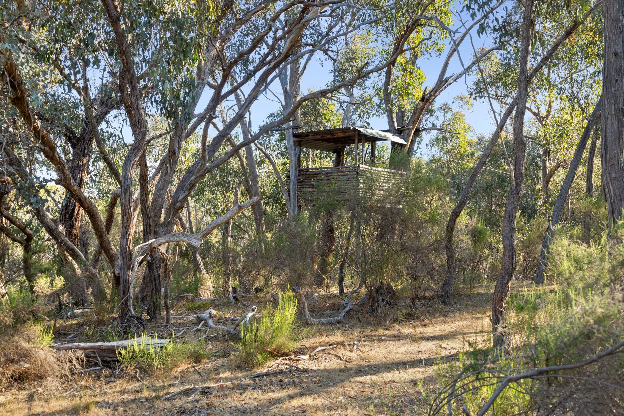 Helge Track, Glenluce VIC 3451, Glenluce - Thumbnail 7