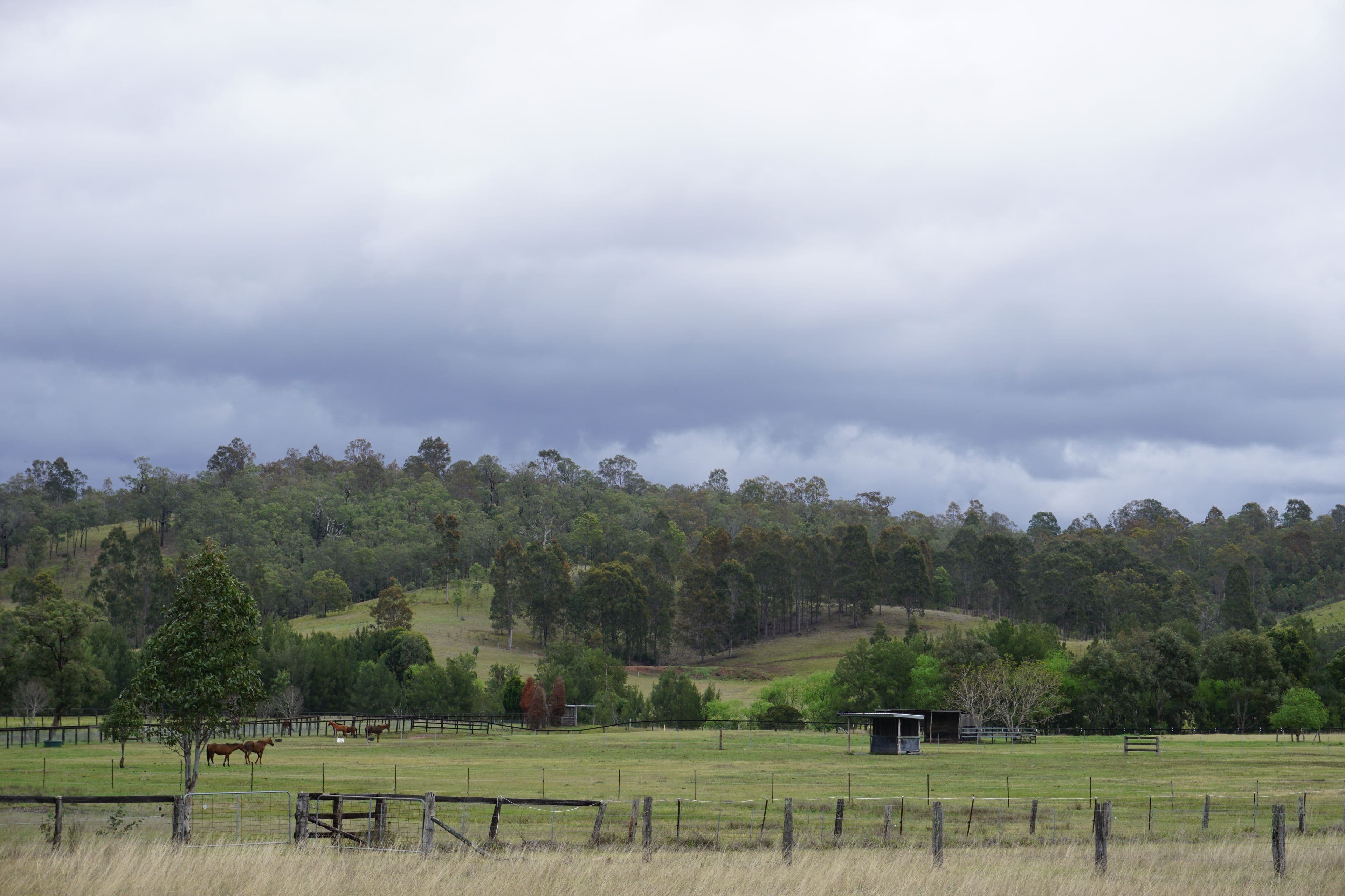 1475 Mirannie Road, Singleton NSW 2330, Singleton - Thumbnail 3