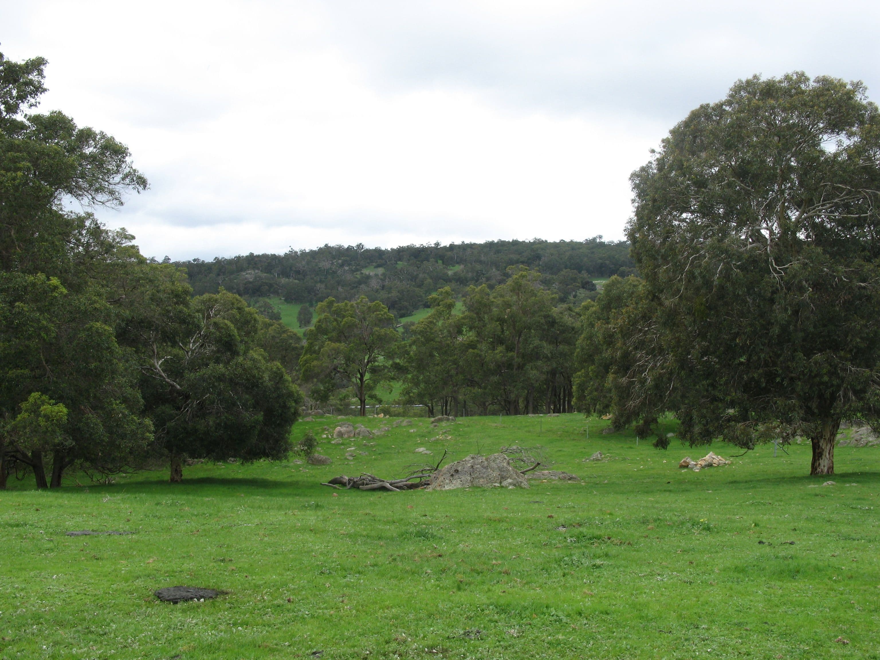 199 Morell Road, North Dandalup WA 6207, North Dandalup - Thumbnail 2