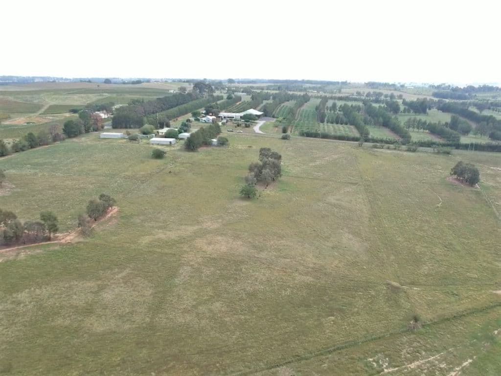 93 Prunevale Road Kingsvale, Young NSW 2594, Young - Thumbnail 2