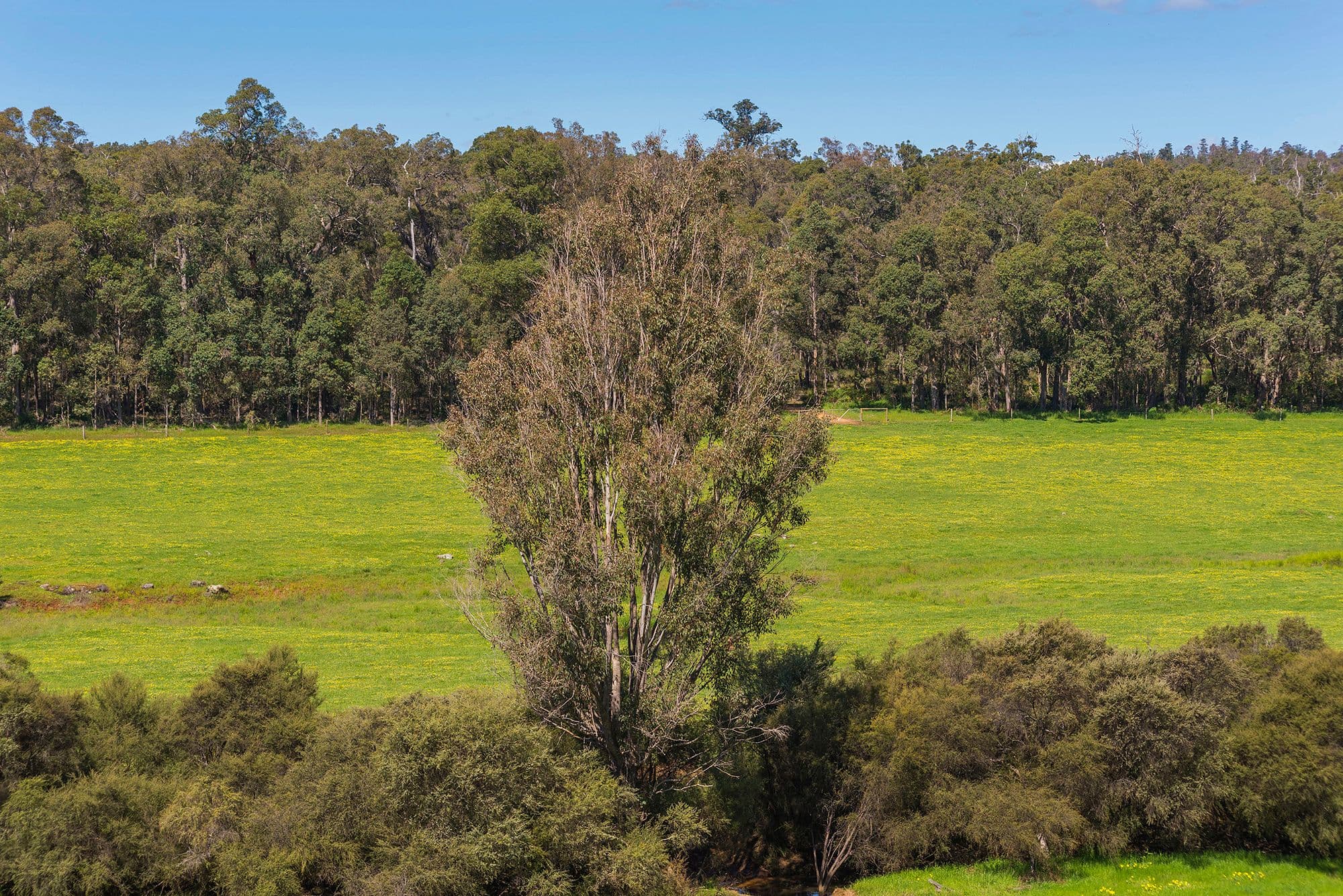Nannup WA 6275, Nannup - Thumbnail 4