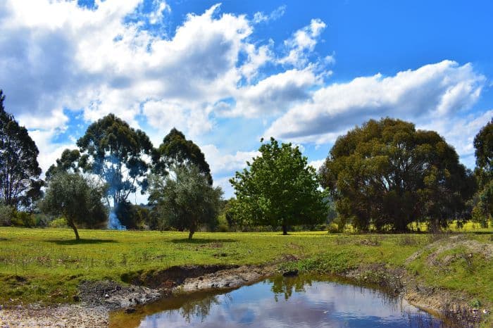 Nannup WA 6275, Nannup - Thumbnail 8