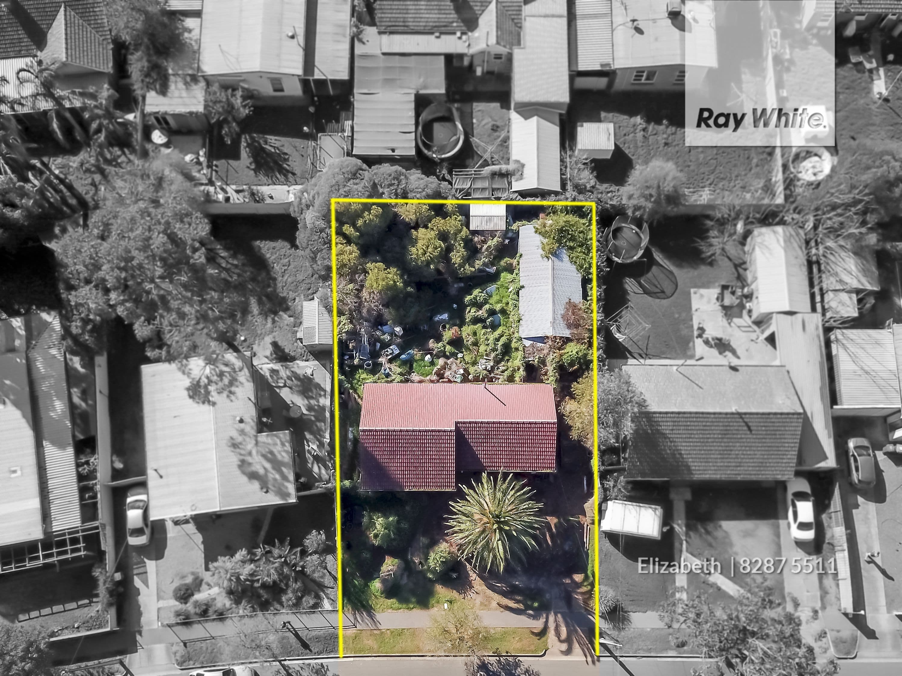 8 Berryman Road, Smithfield Plains SA 5114, Smithfield Plains - Image 1