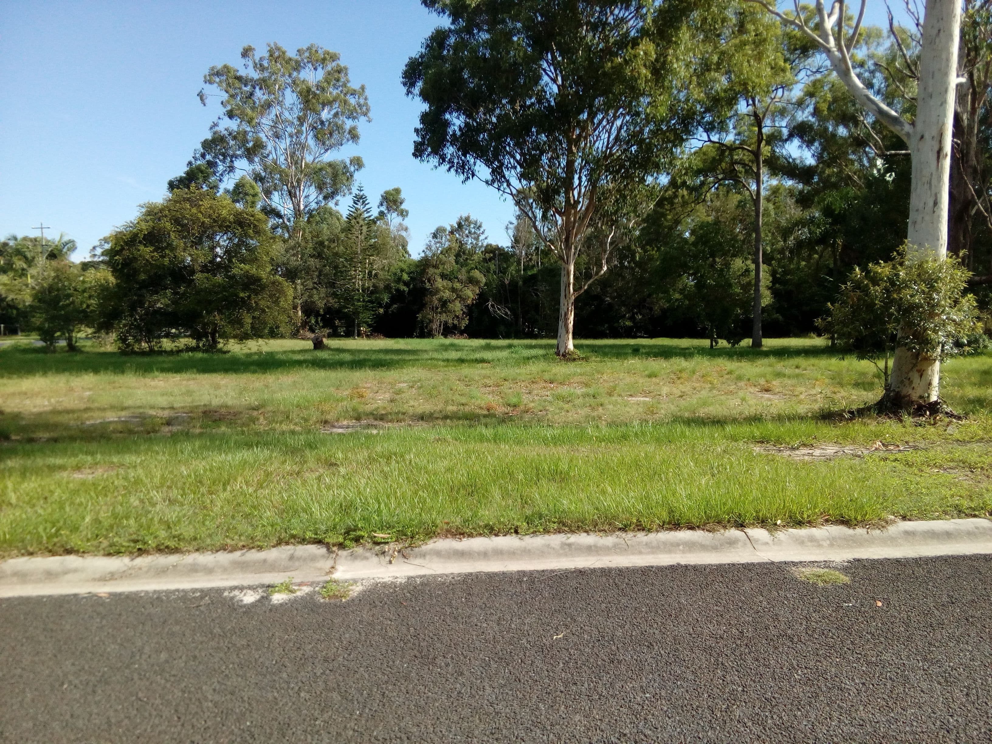 49-55 Fairmount Street, Elimbah QLD 4516, Elimbah - Thumbnail 5