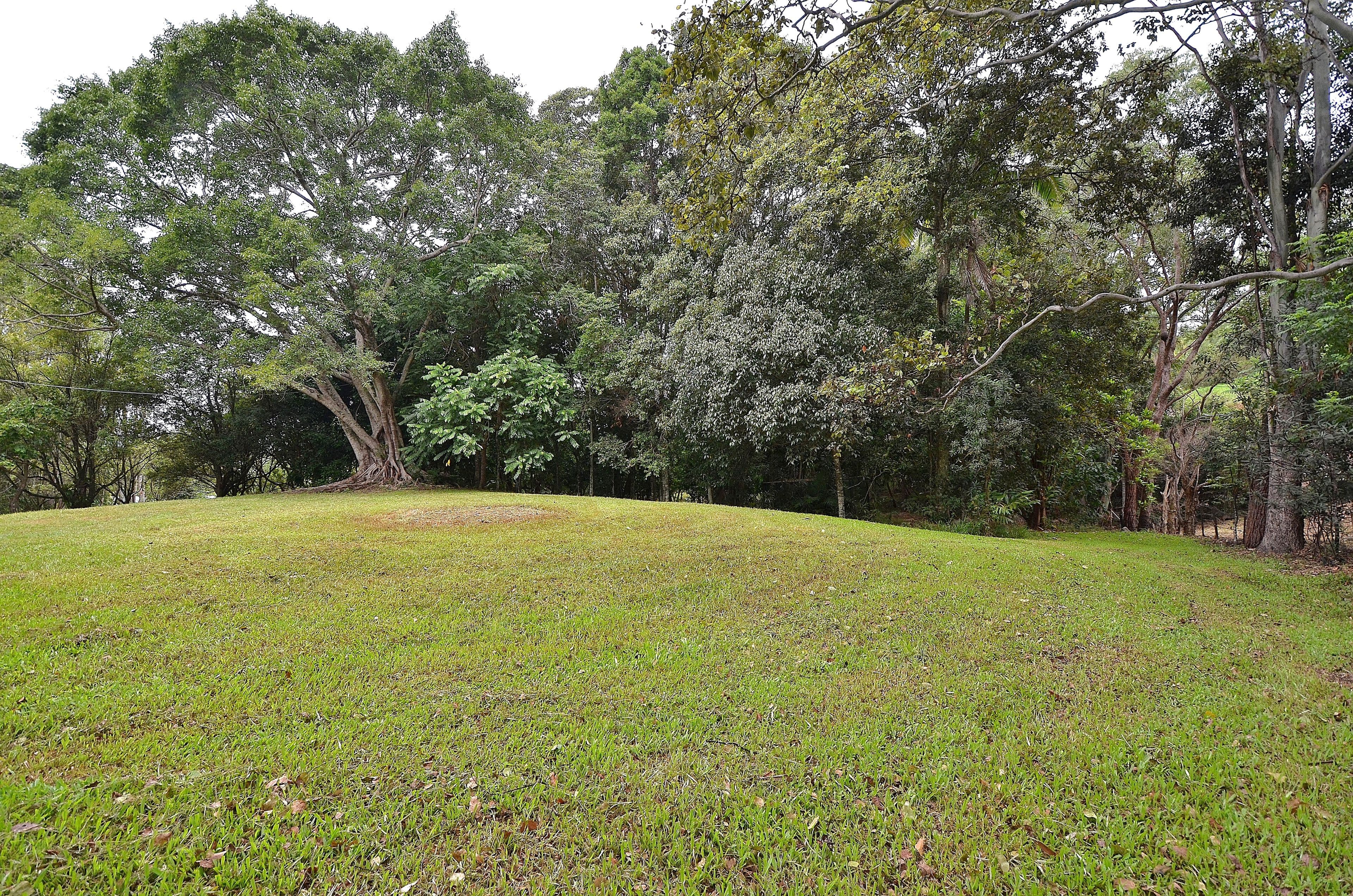 69 Estelle Road, Currumbin Valley QLD 4223, Currumbin Valley - Thumbnail 7