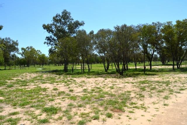 Lot 3 Frames Lane, Blackall QLD 4472, Blackall - Thumbnail 7