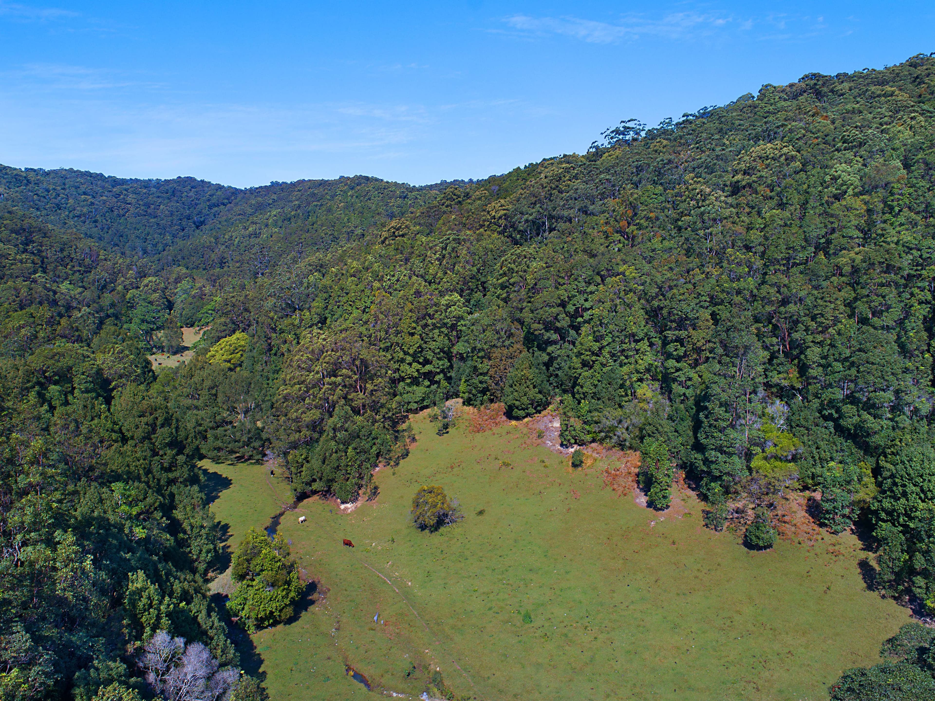679 Urliup Road, Urliup NSW 2484, Urliup - Thumbnail 8