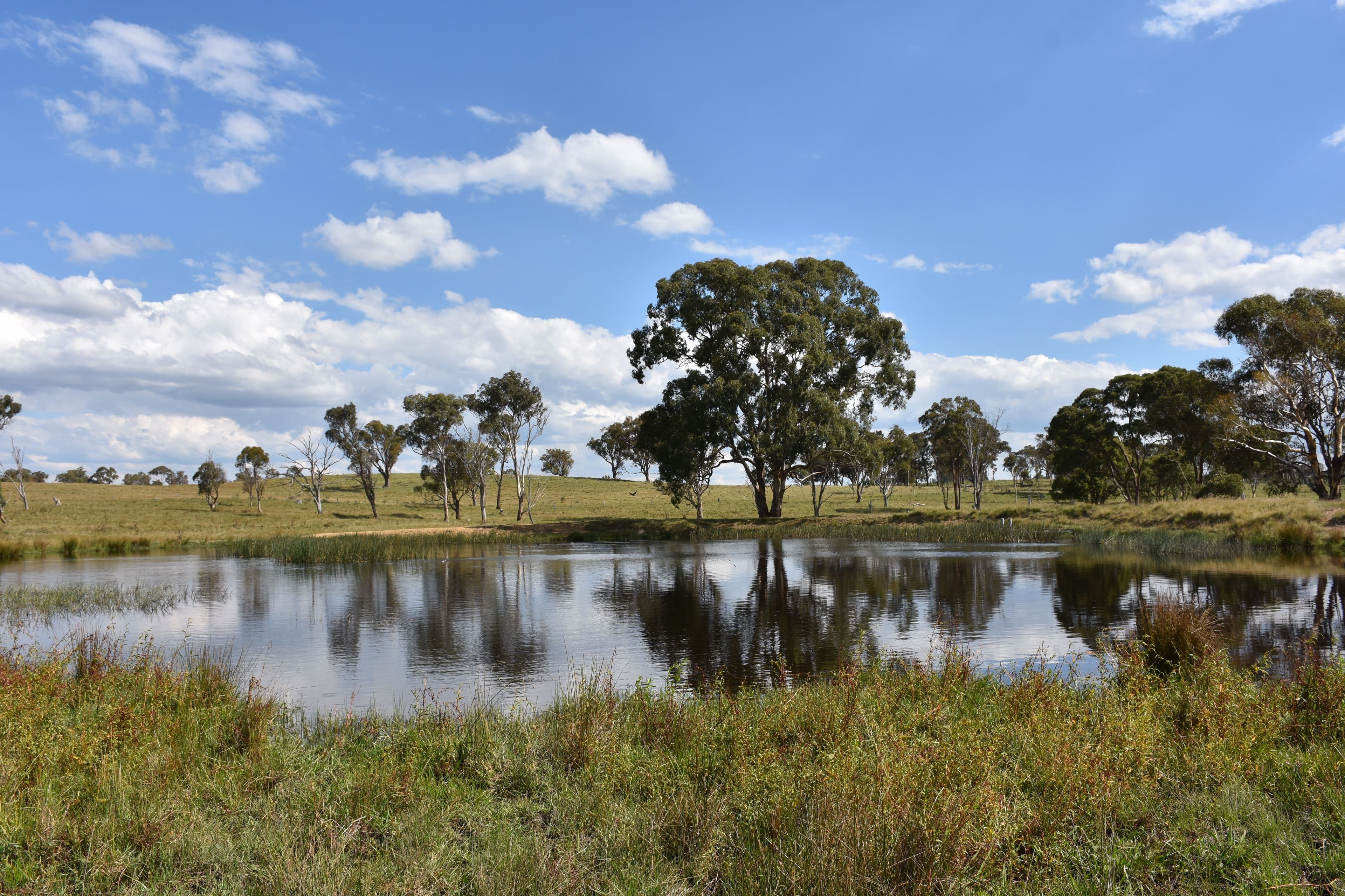 757 New England Highway, Glen Innes NSW 2370, Glen Innes - Thumbnail 6