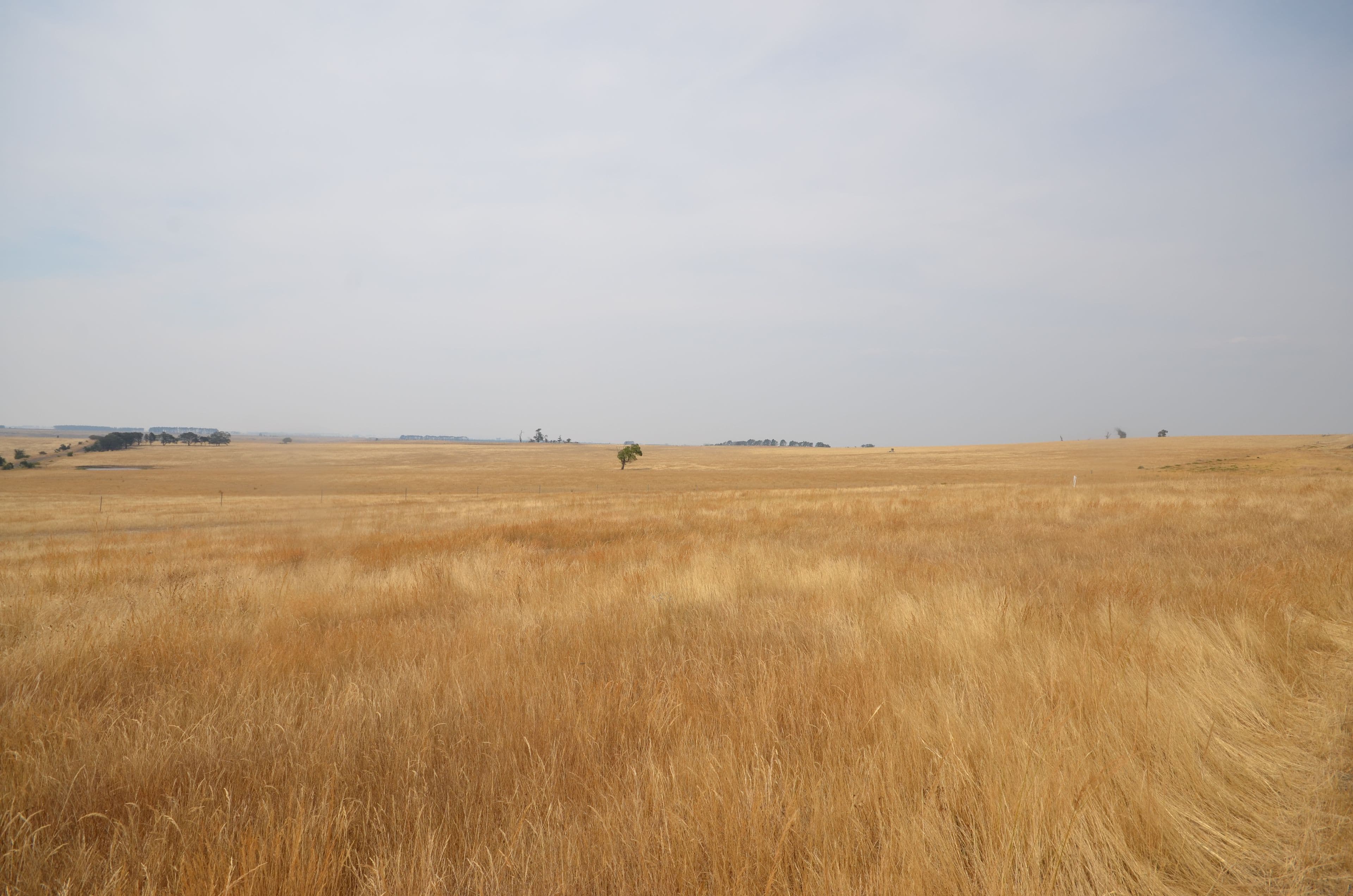 Lot 1 North South Road, Carngham  Victoria  3351, Australia, Carngham - Thumbnail 7