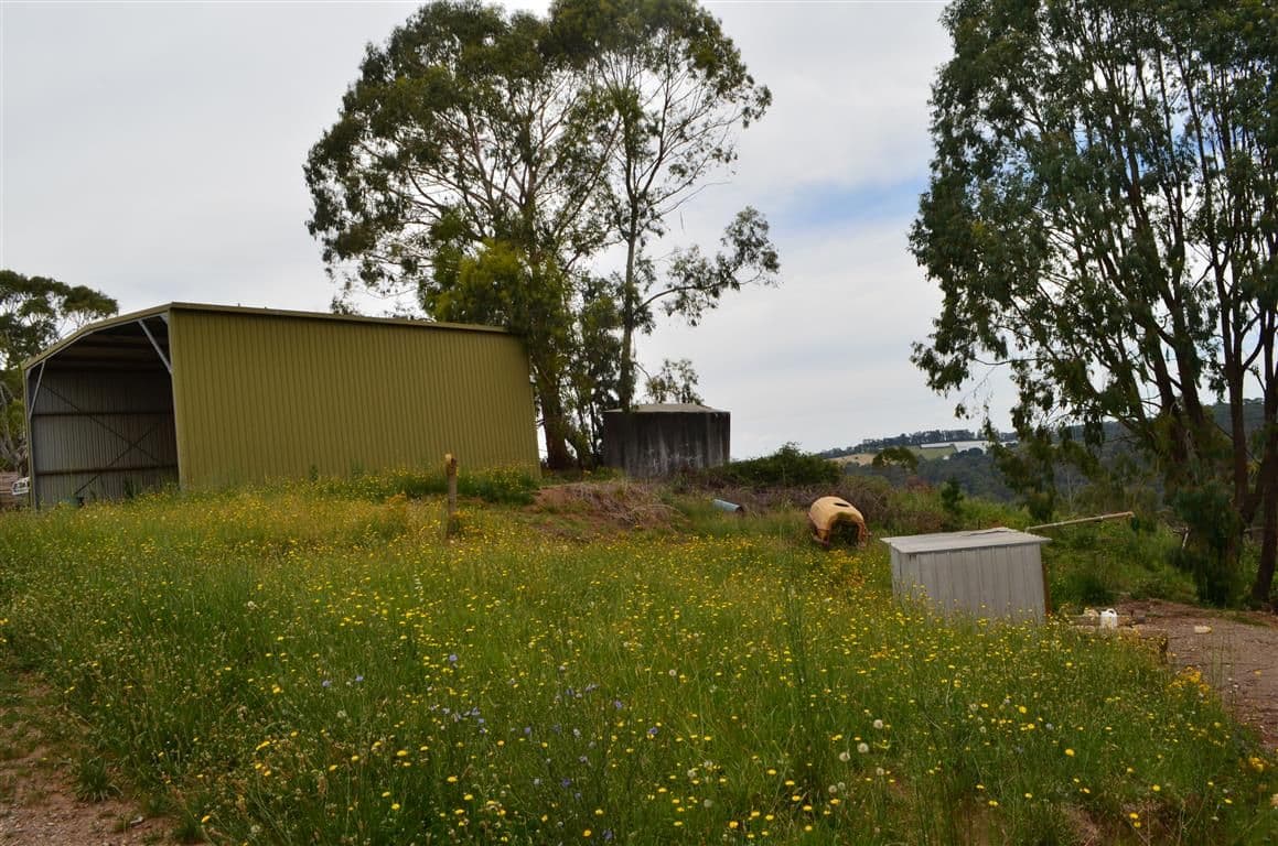 00 'Muttaroo' Mines Road, BATLOW NSW 2730, Batlow - Thumbnail 8
