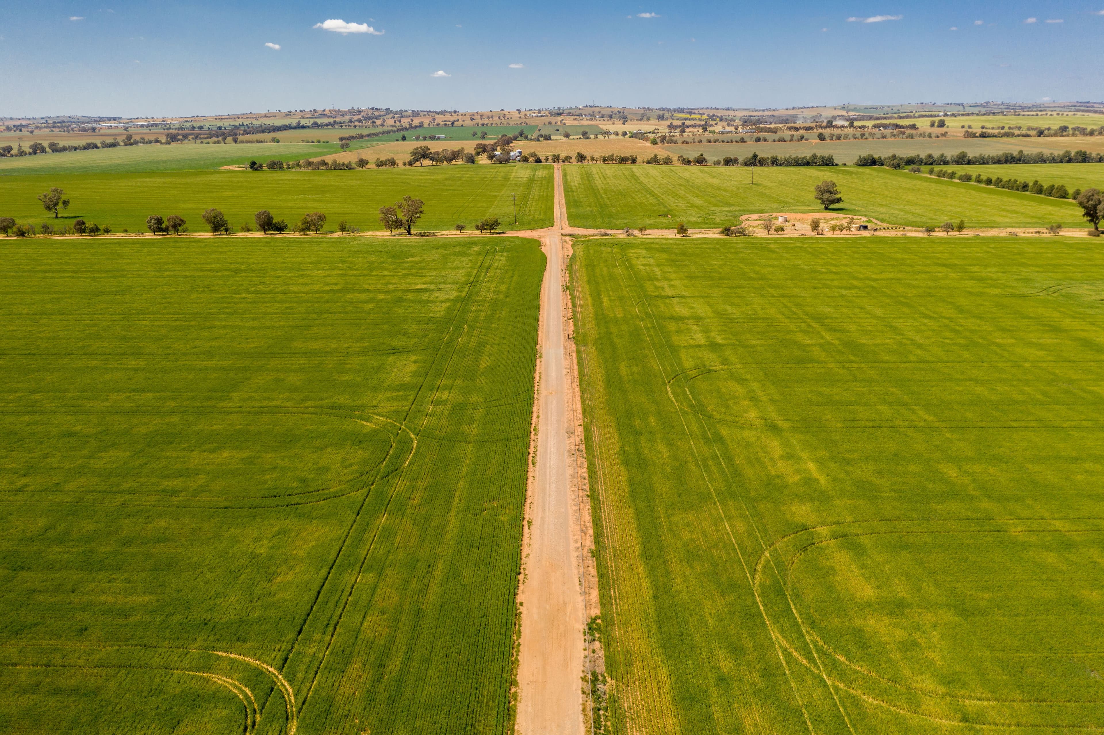 Junee NSW 2663, Junee - Thumbnail 2