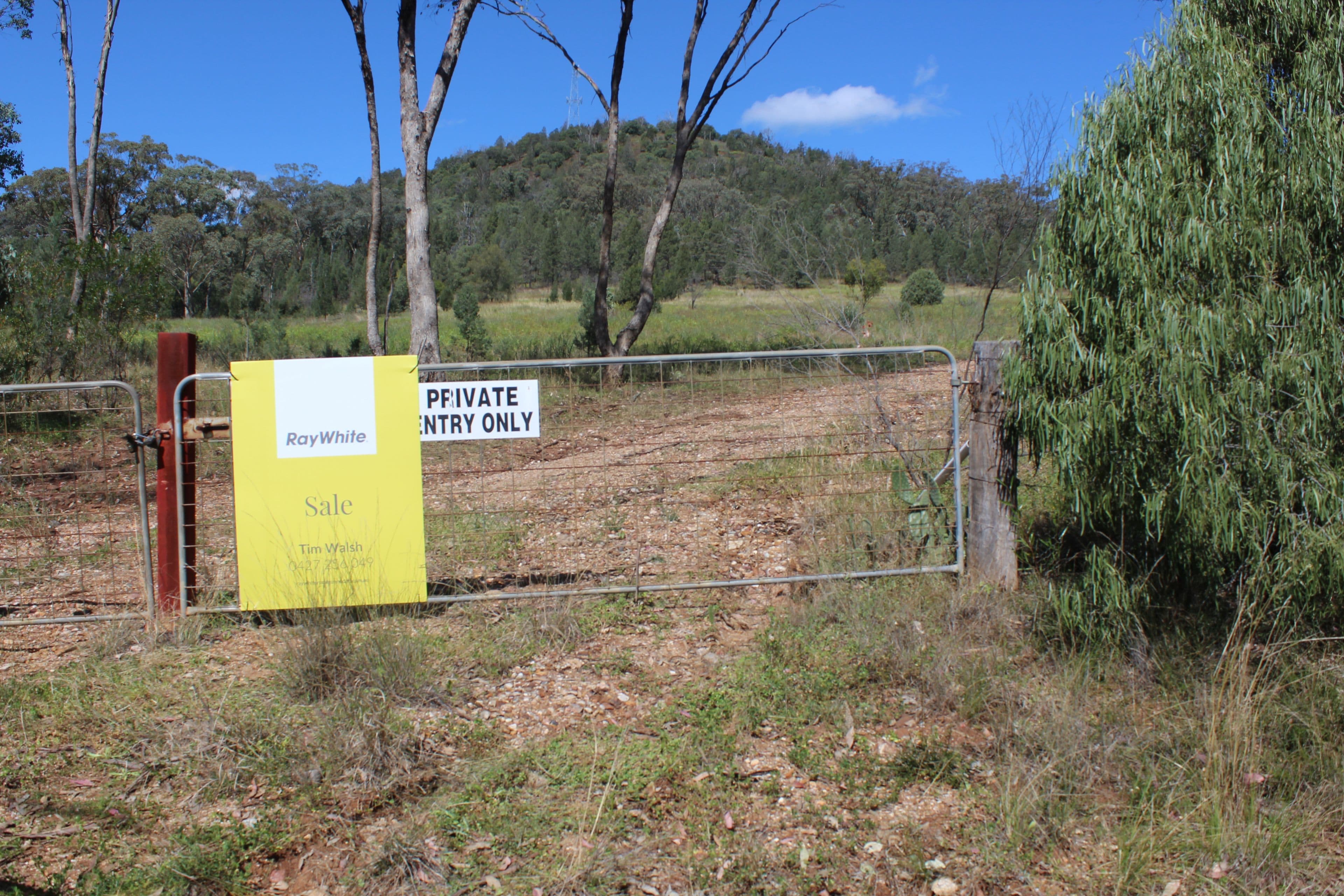 1633 Wandobah Road, Gunnedah NSW 2380, Gunnedah - Thumbnail 3