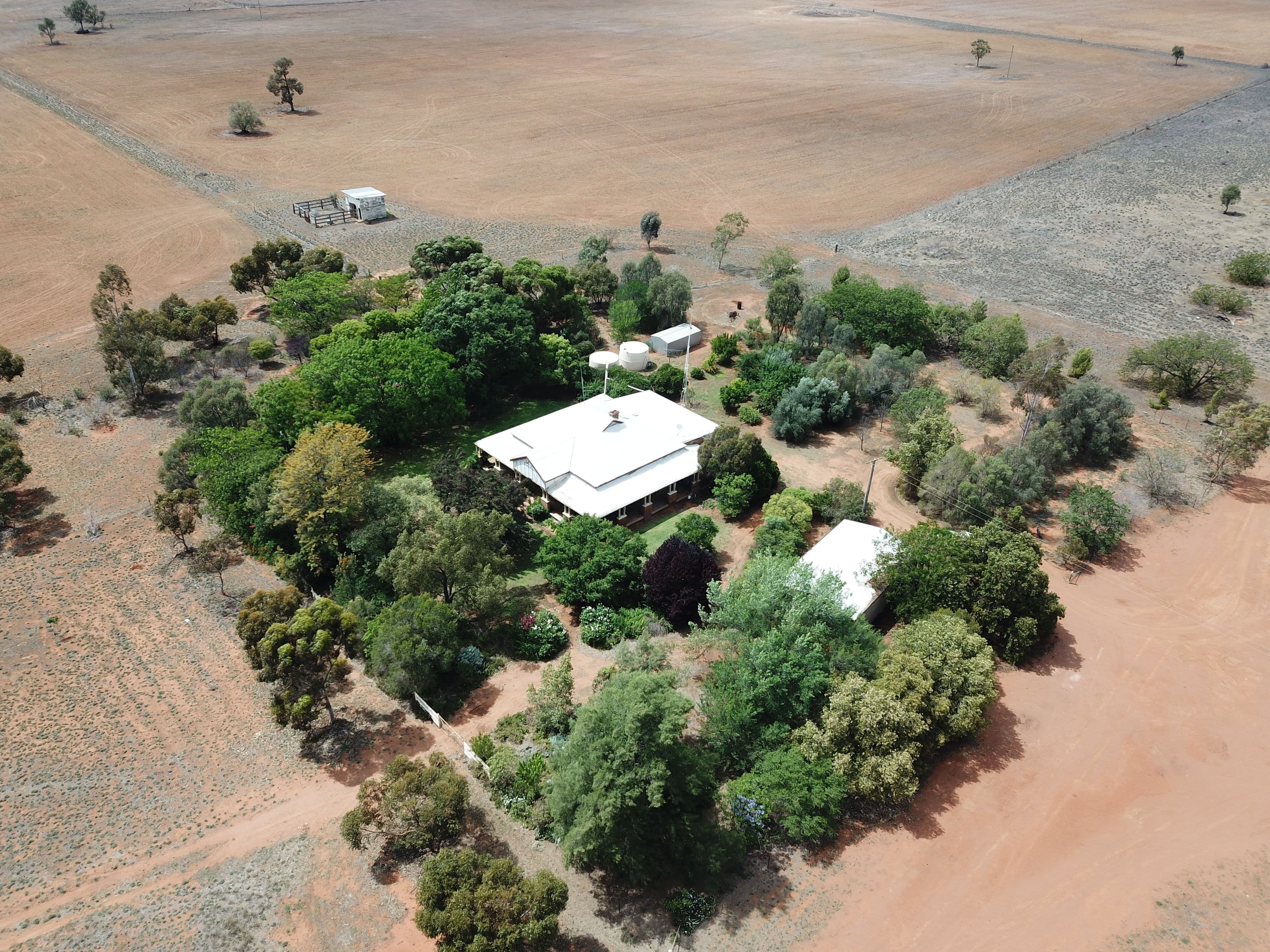 'Ossory' Aggregation, Narromine NSW 2821, Narromine - Thumbnail 2