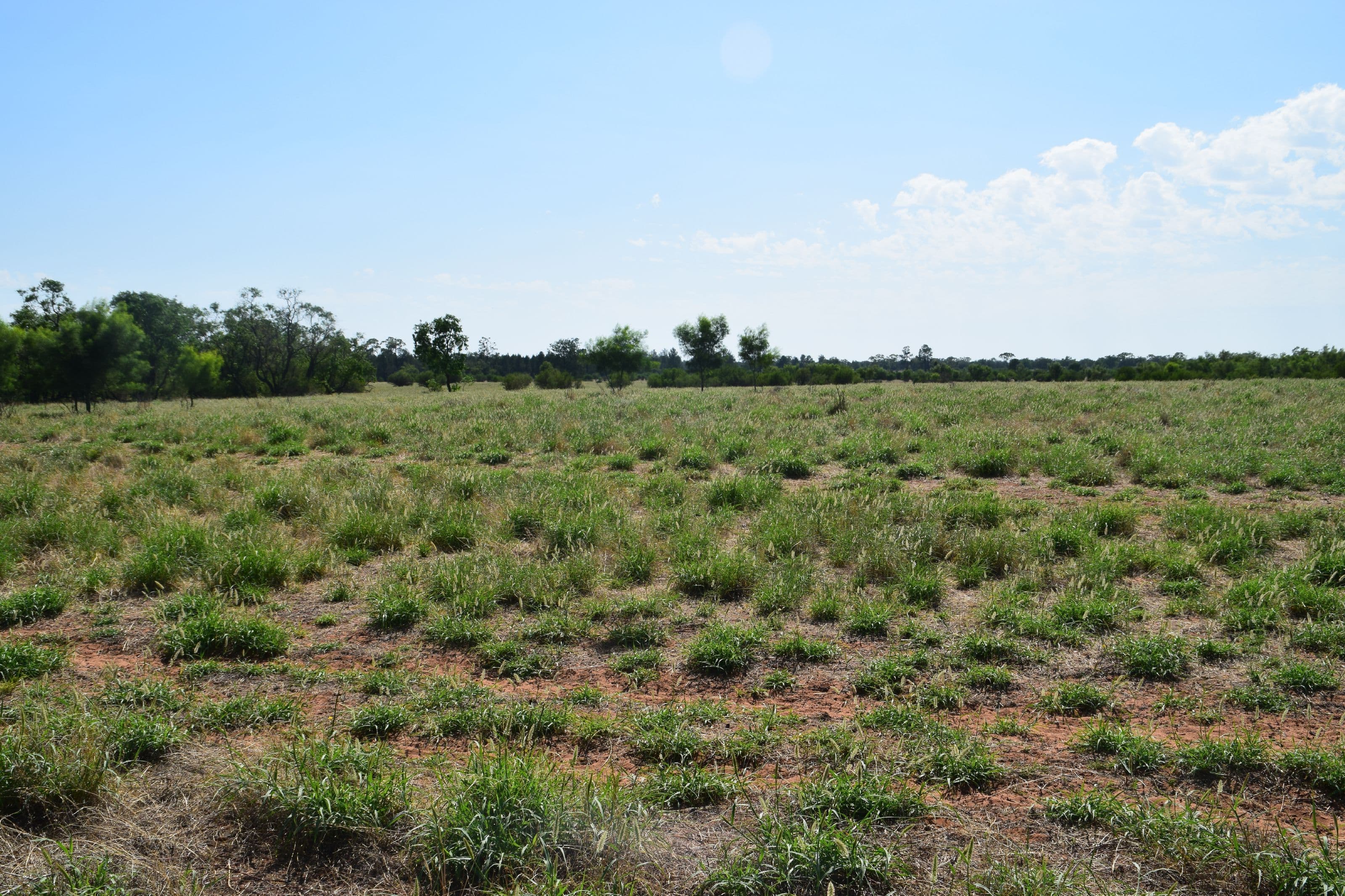 'Munna Munna', Coonamble NSW 2829, Coonamble - Thumbnail 3
