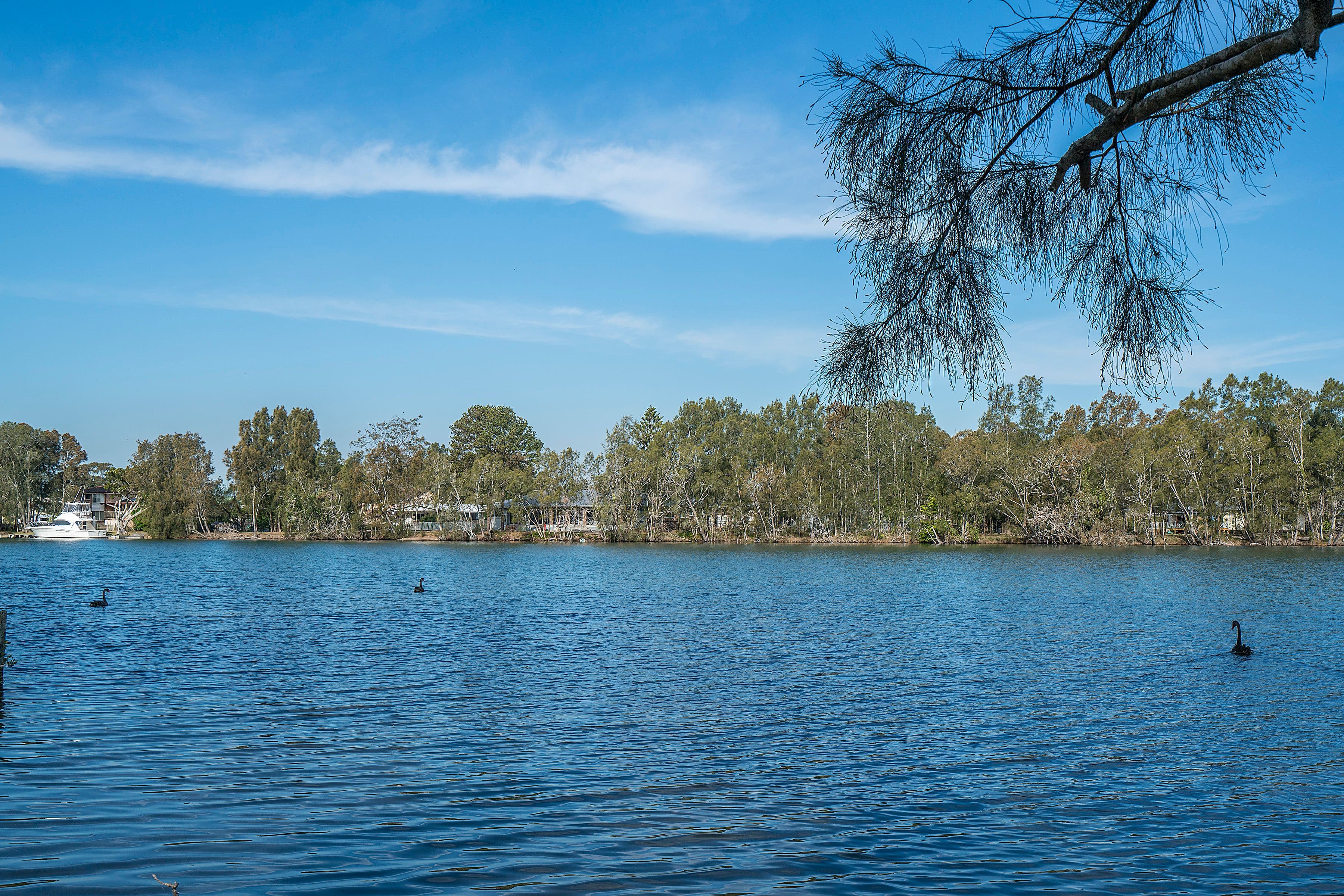 194 Dora Street, Dora Creek - Thumbnail 5