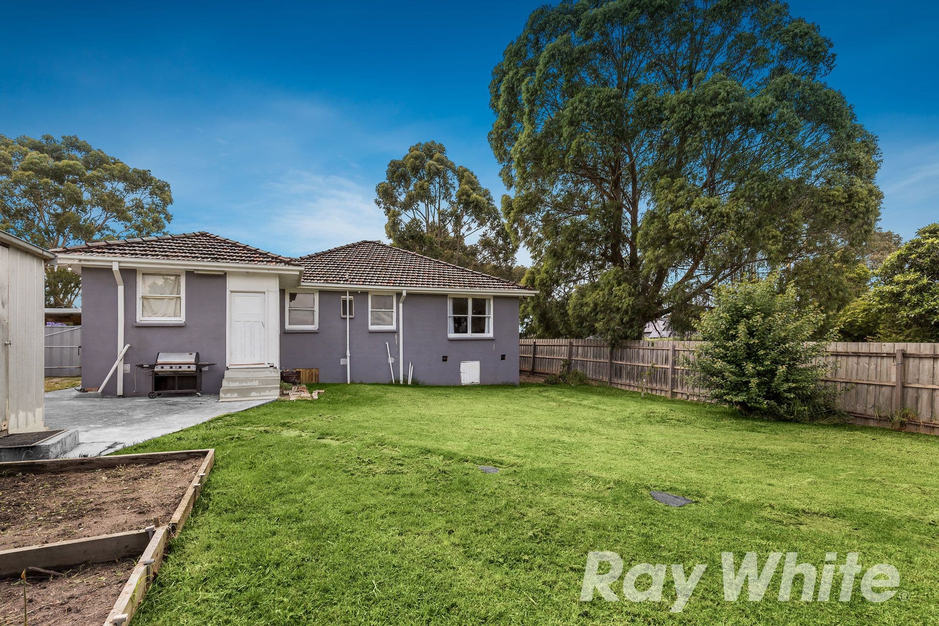 28 Dobell Street, Blackburn South VIC 3130, Blackburn South - Thumbnail 7