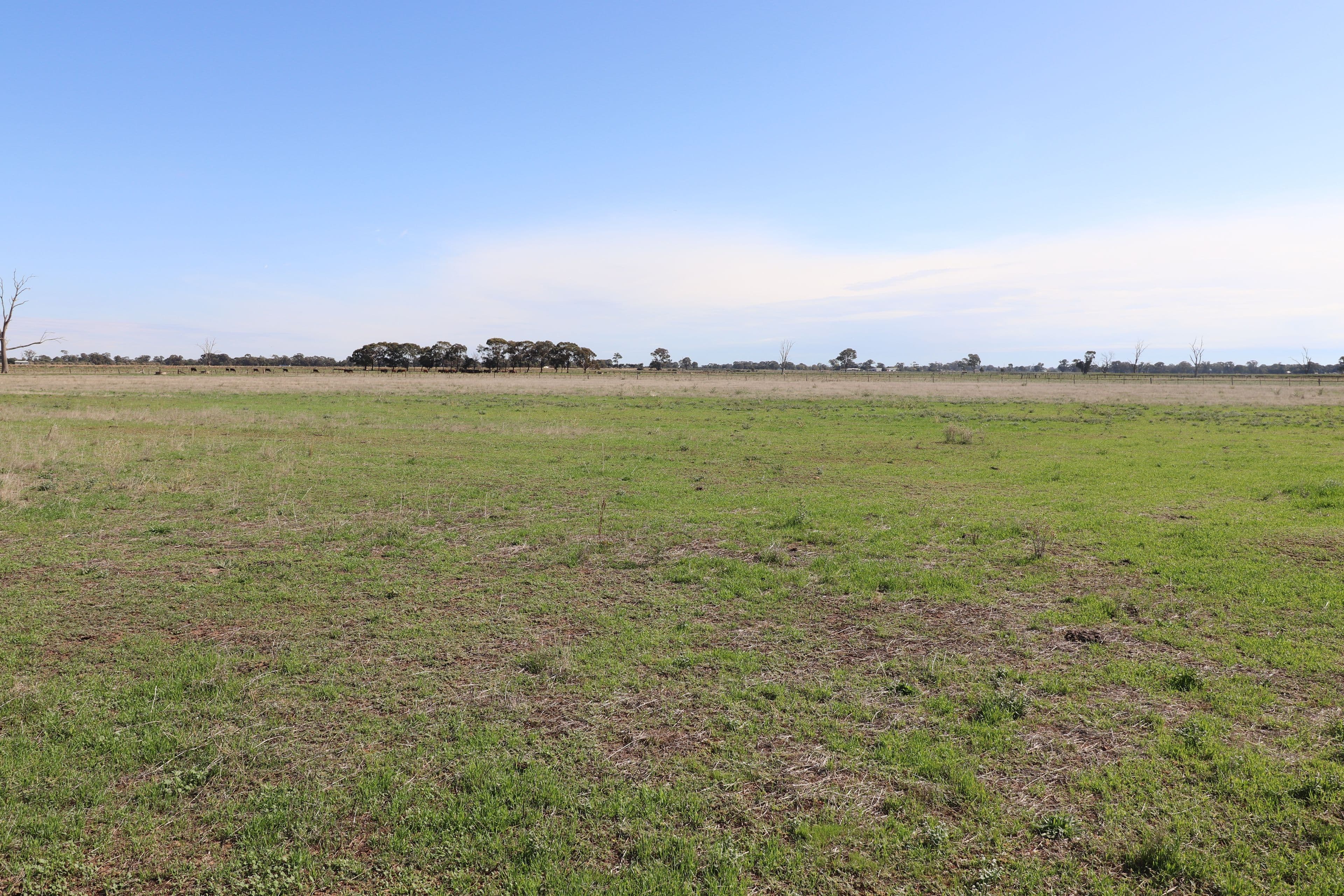 570 Stewart Road, Tatura VIC 3616, Tatura - Thumbnail 2