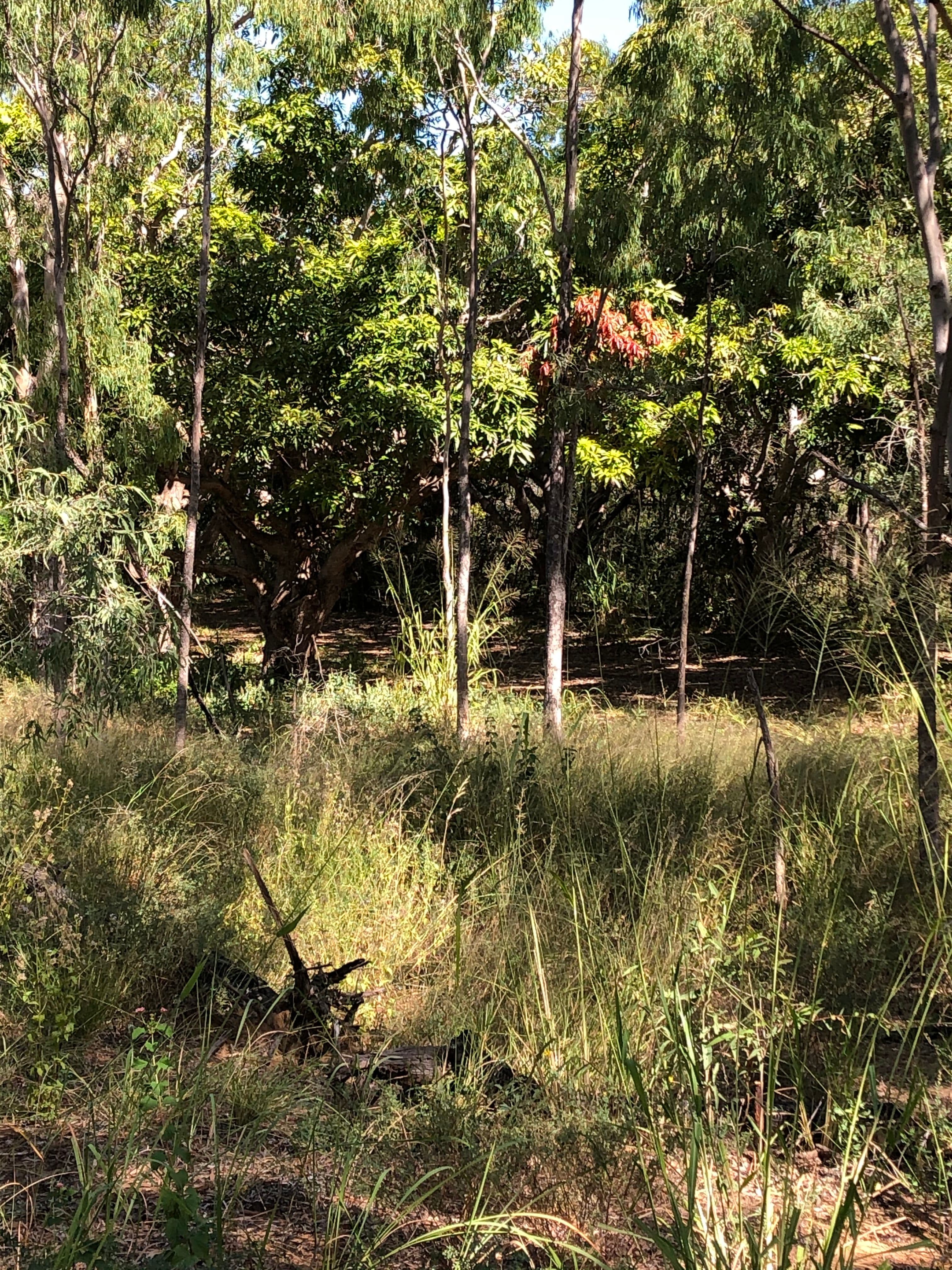 Lot 2 Keppel Sands Road, Keppel Sands QLD 4702, Keppel Sands - Thumbnail 4