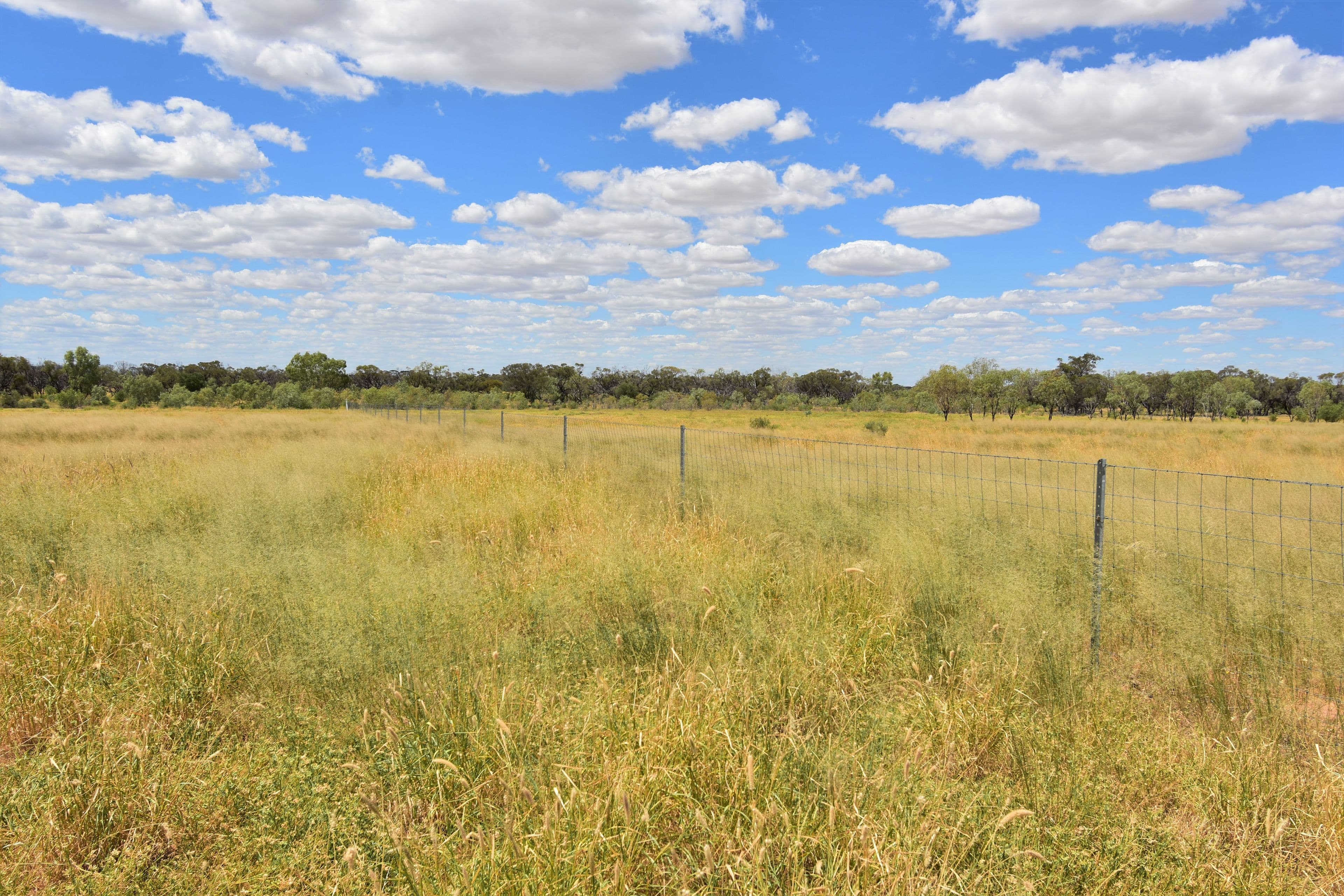 336 Cramsie-Muttaburra Road, Longreach QLD 4730, Longreach - Thumbnail 6