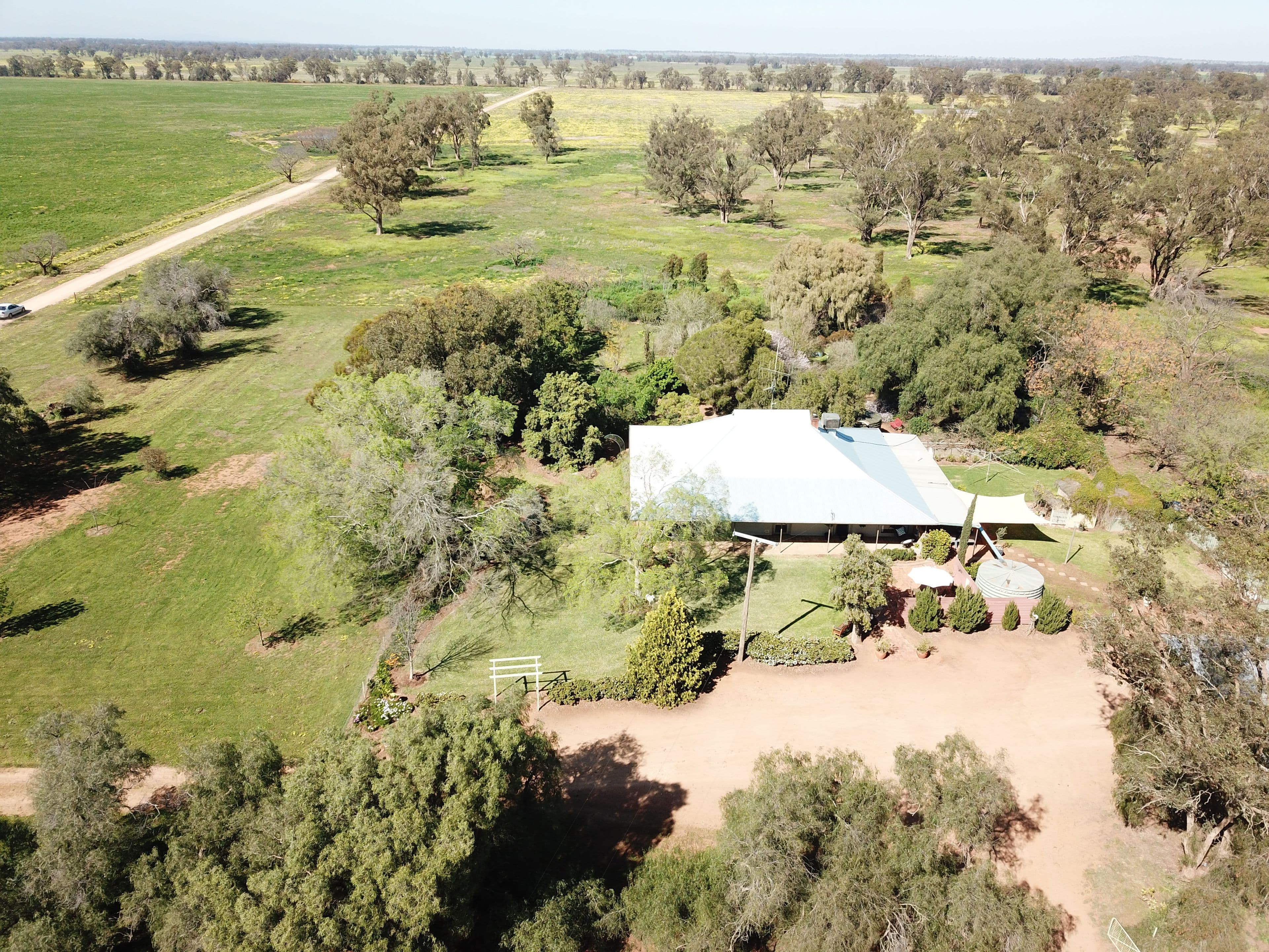 'Iona' 162 Craigie Lea Lane, Narromine NSW 2821, Narromine - Image 1