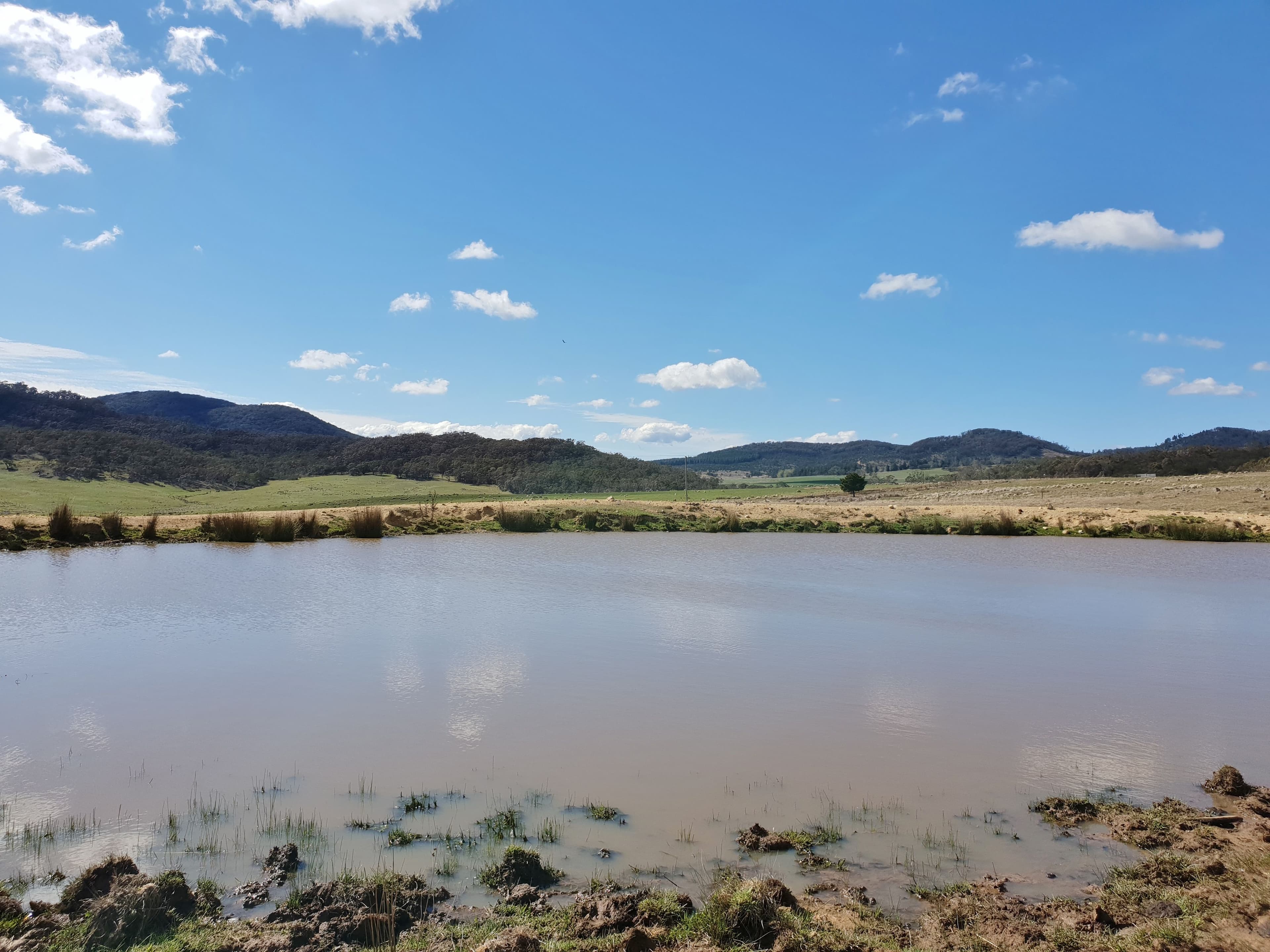 111 Hereford Hall Road, Hereford Hall, Braidwood NSW 2622, Braidwood - Image 1