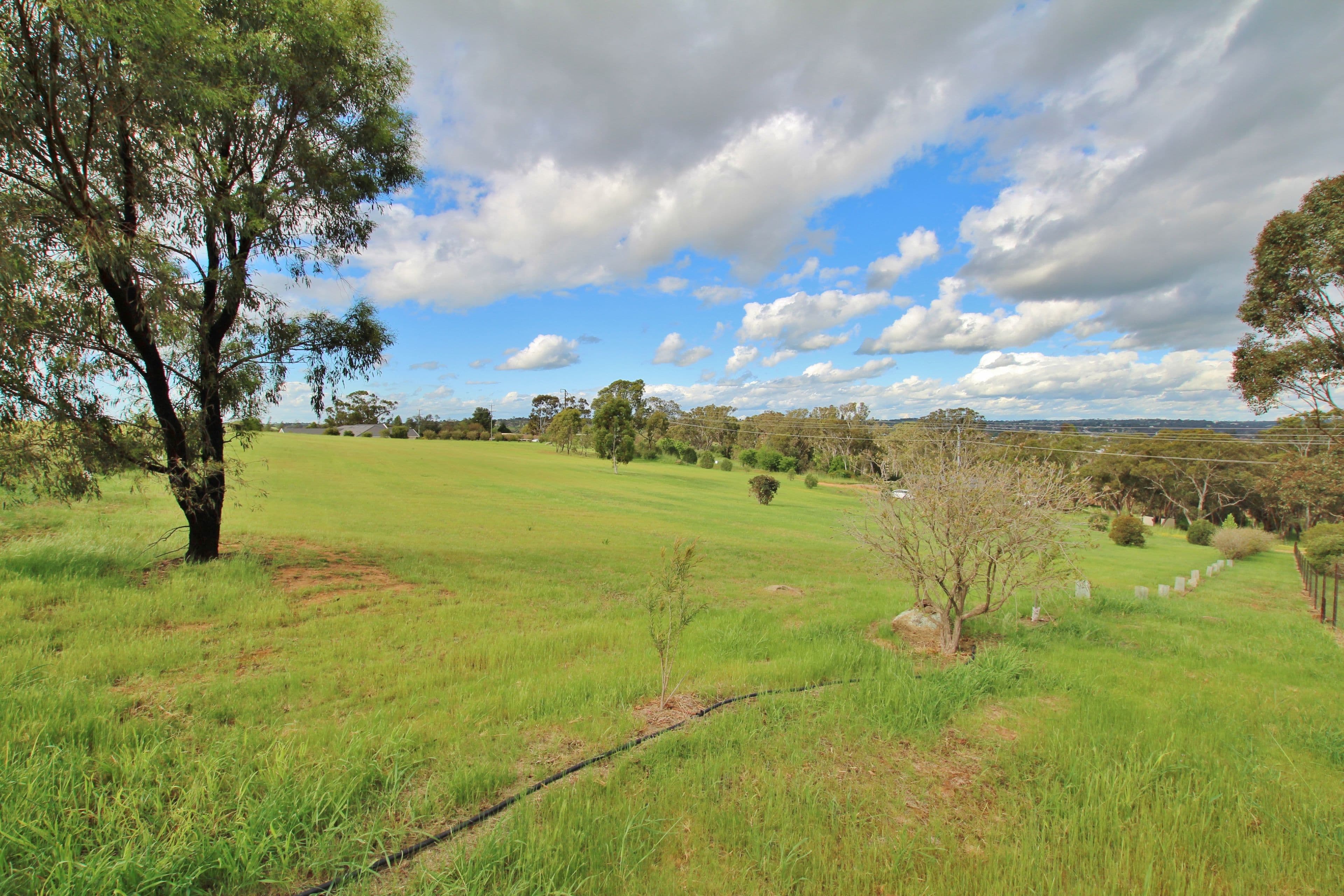 32 Rules Road, Young NSW 2594, Young - Thumbnail 4