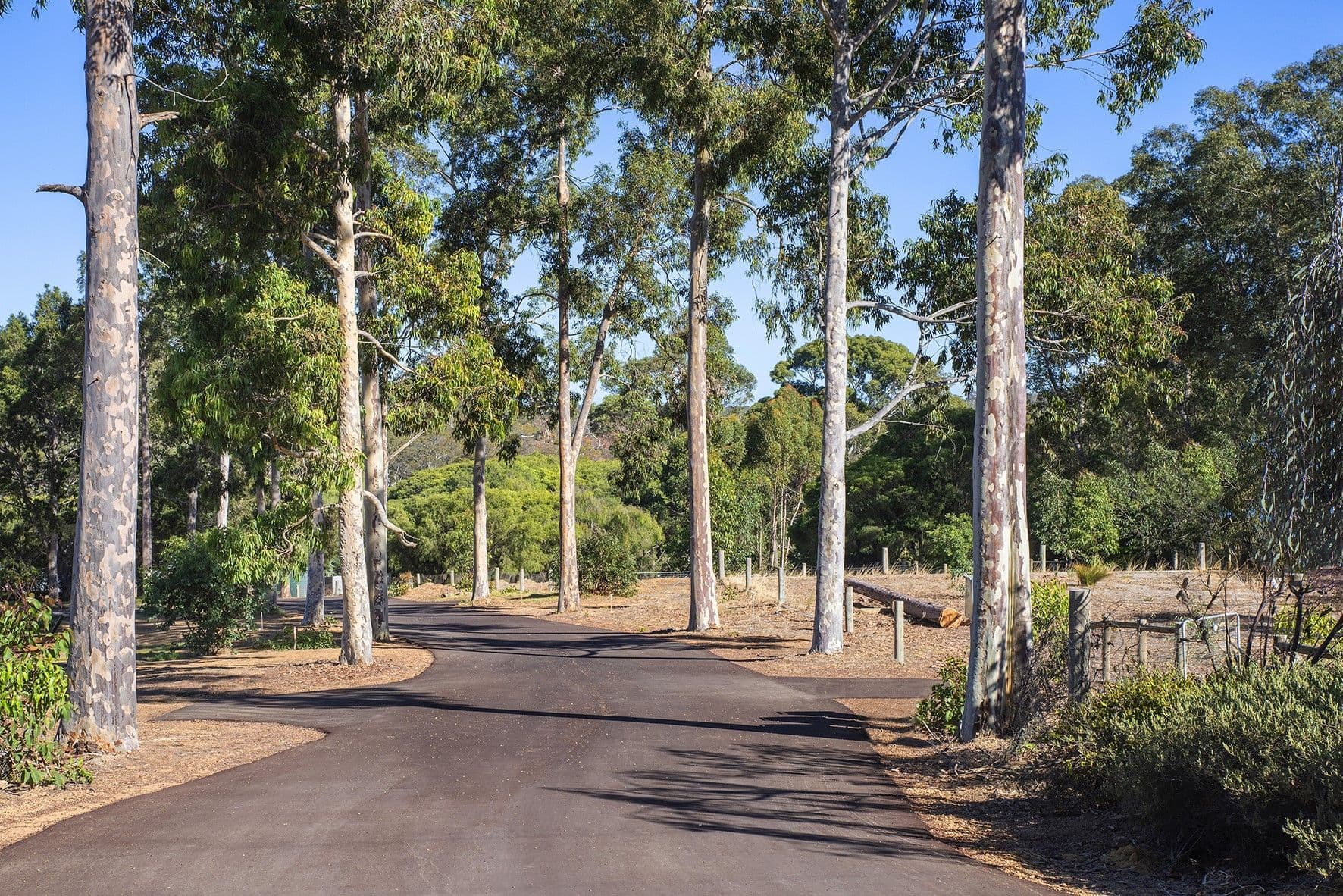 PL 401, 114 Ashton Street, Margaret River WA 6285, Margaret River - Thumbnail 6