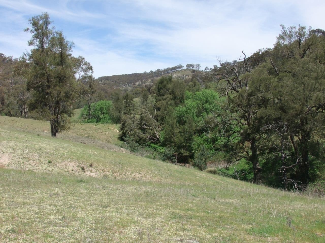 Bathurst NSW 2795, Bathurst - Thumbnail 7