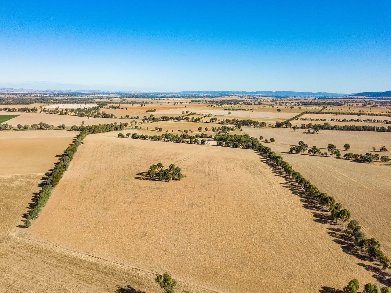 170 Barrs Road, Cowra NSW 2794, Cowra - Thumbnail 2