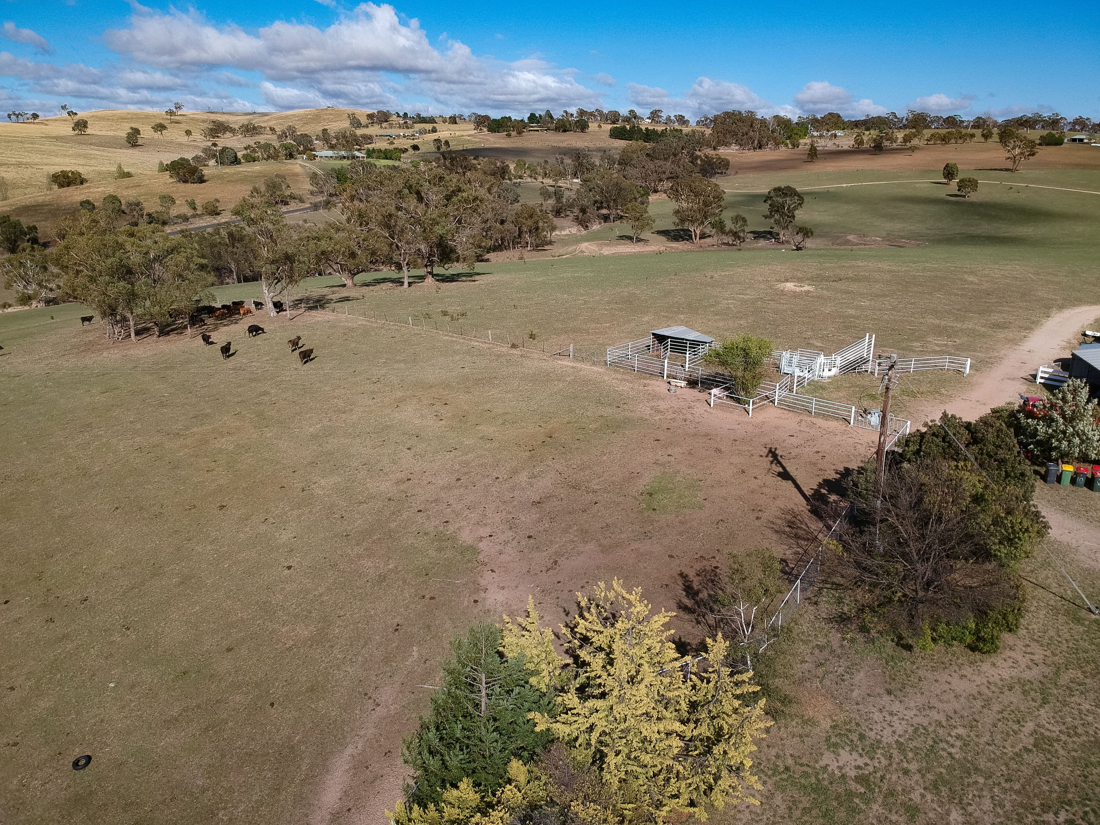 370 Bloom Hill Road, O'Connell NSW 2795, O'Connell - Thumbnail 7