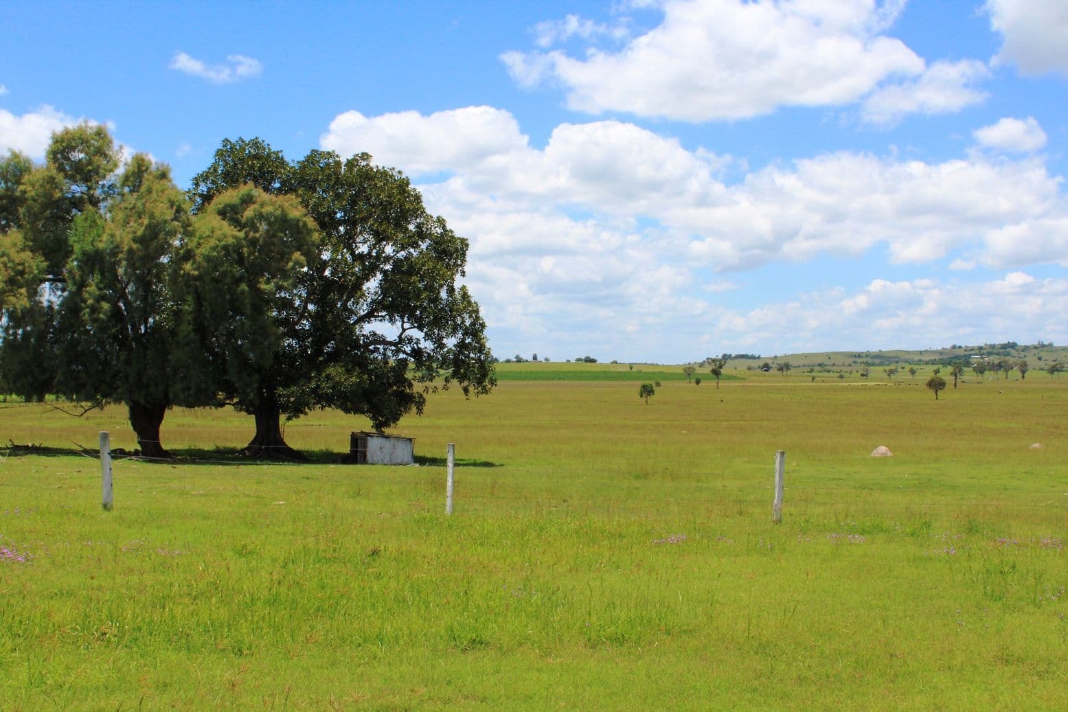 704 Mount Beppo Road, Mount Beppo QLD 4313, Mount Beppo - Thumbnail 2