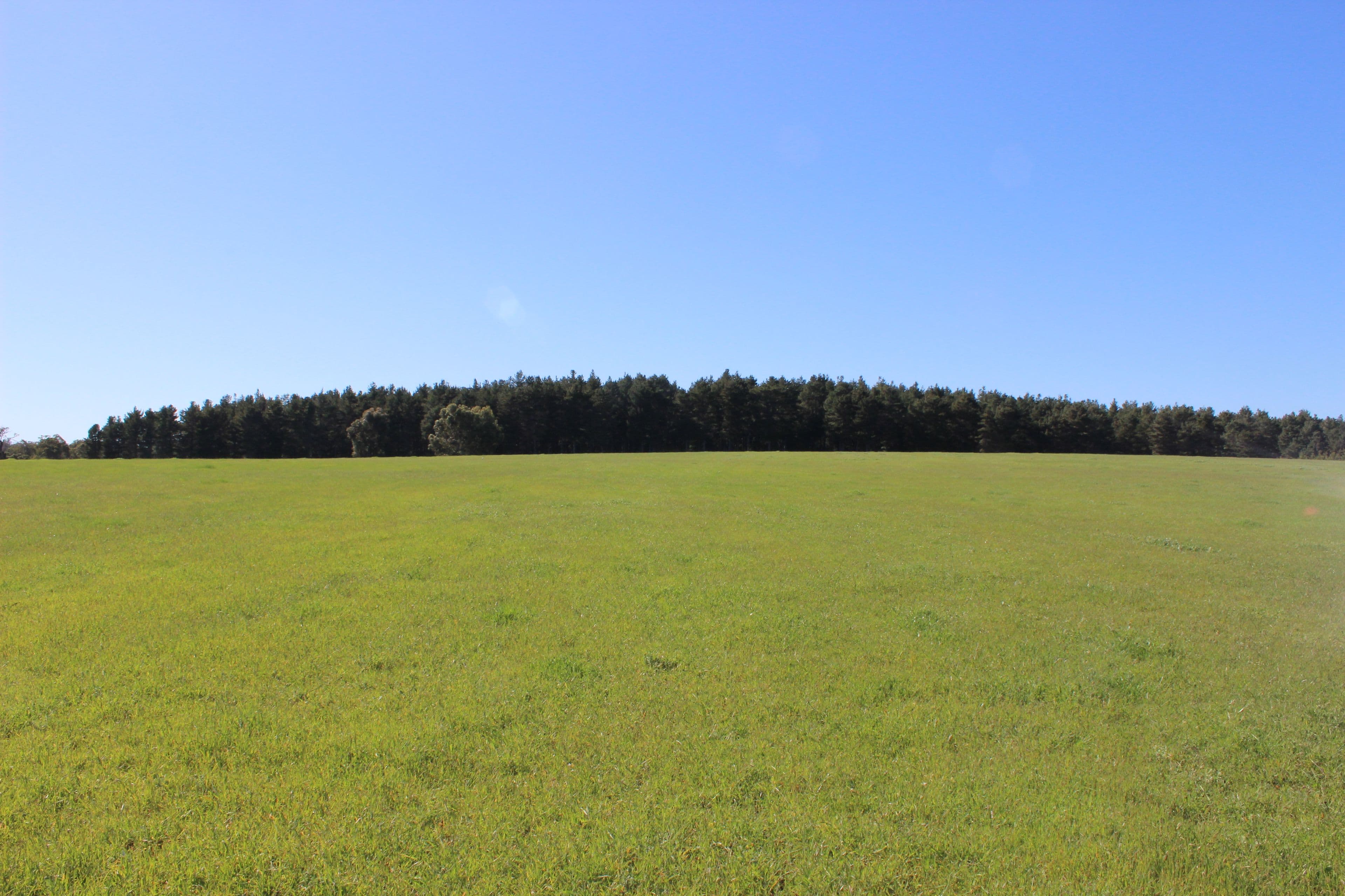 54 Hester Road, Bridgetown WA 6255, Bridgetown - Thumbnail 3