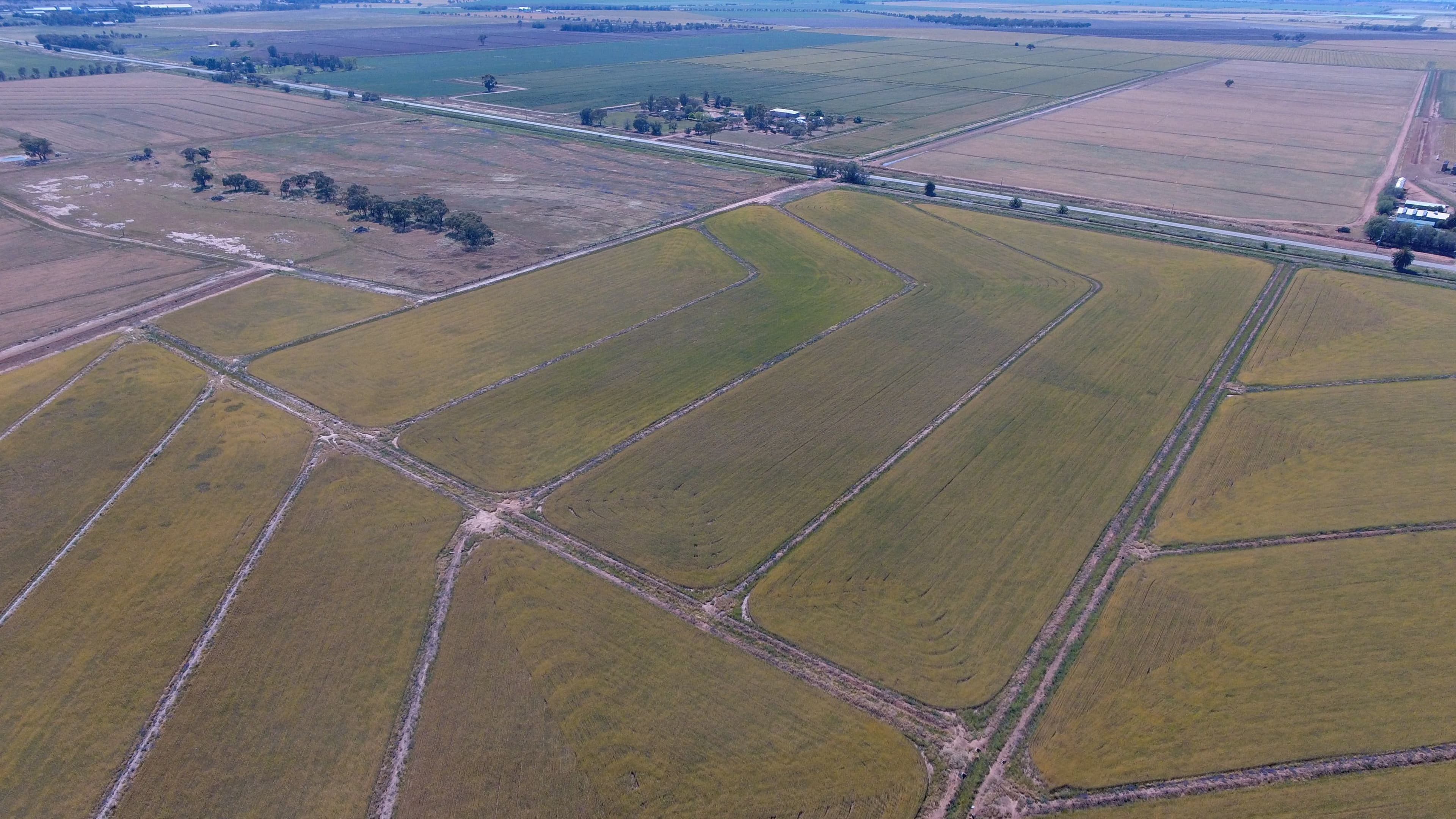 "Part Farm" 1078, Murrami NSW 2705, Murrami - Thumbnail 6