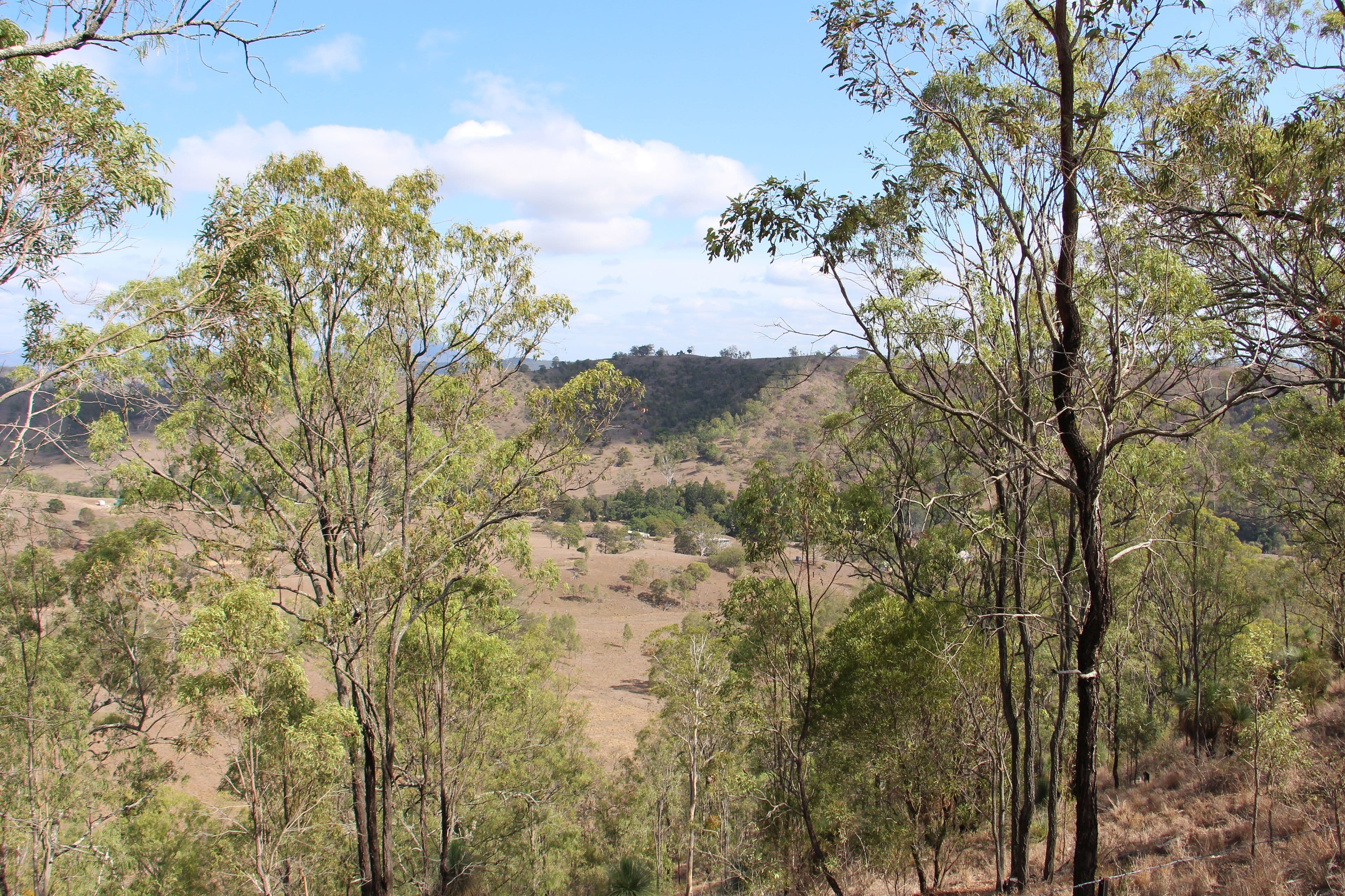 Running Creek QLD 4287, Running Creek - Thumbnail 3