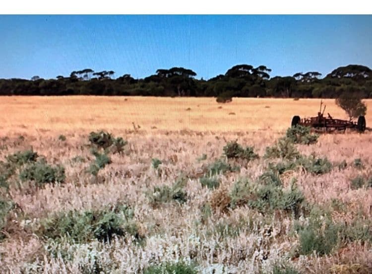 Lot 7112 Wubin Mullewa Road, Latham WA 6616, Latham - Thumbnail 4