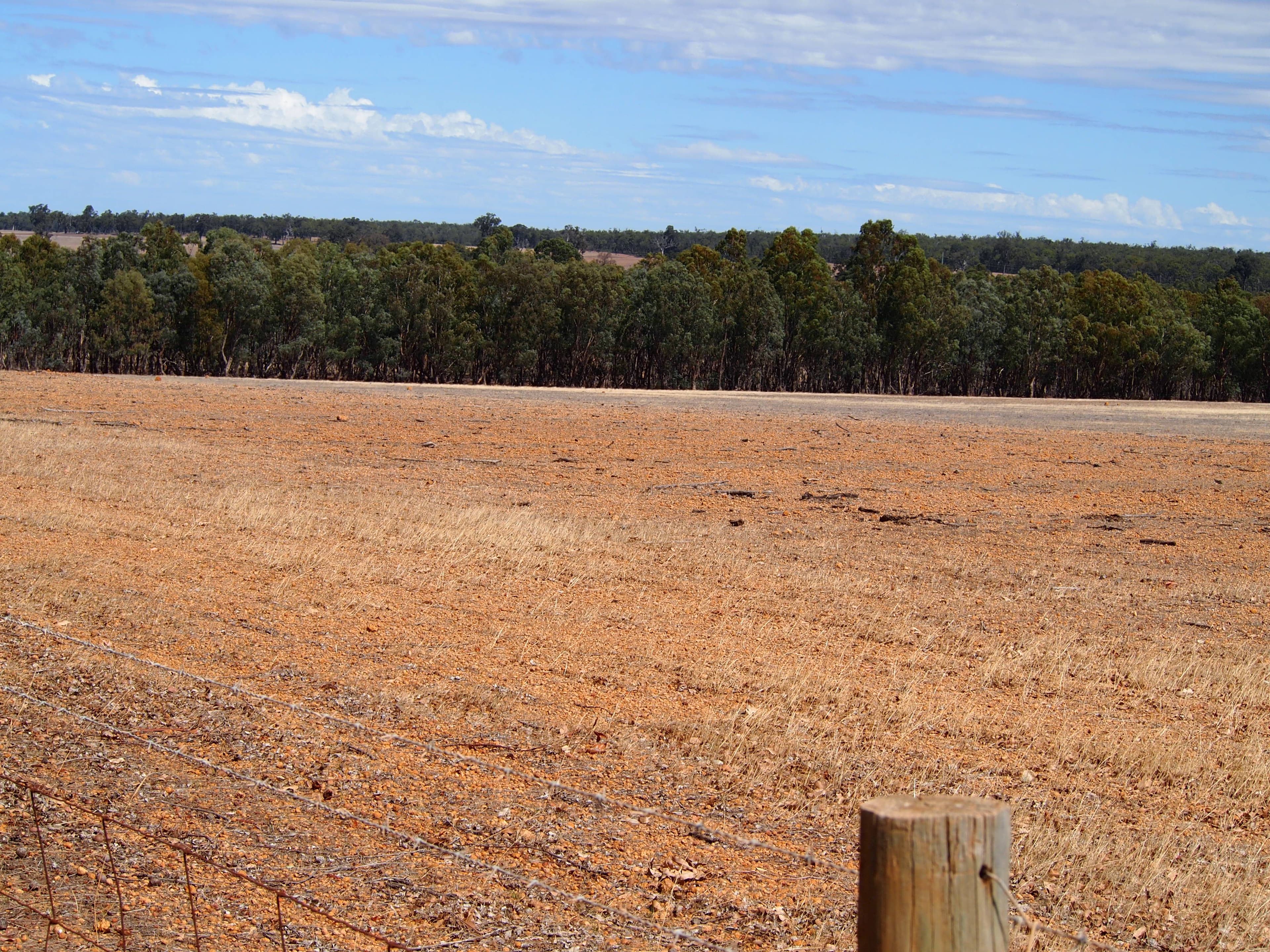 Maringee Farm, Trigwell Bridge Road, Darkan WA 6392, Darkan - Thumbnail 5