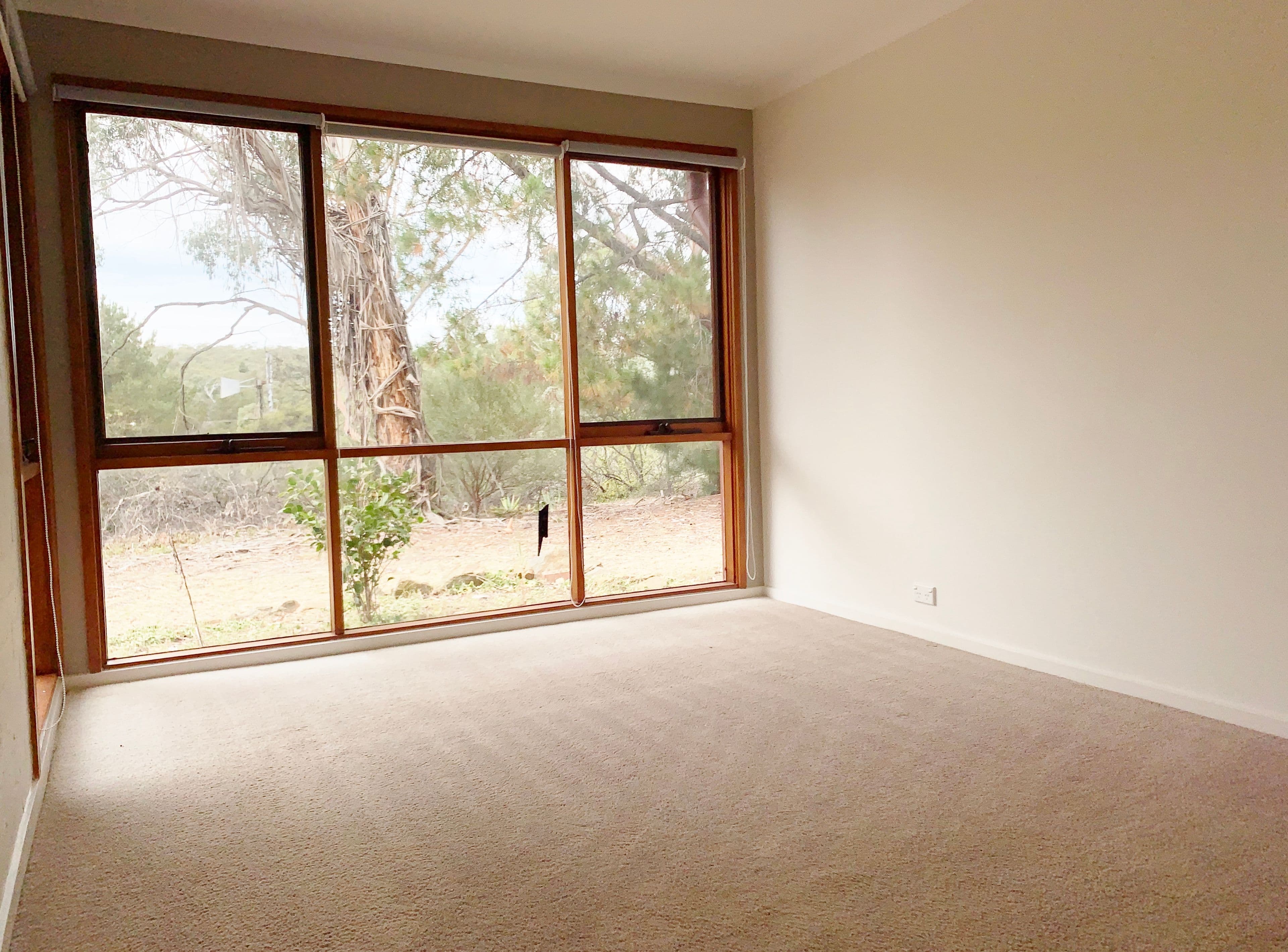 134 Bingley Way, WAMBOIN NSW 2620, Wamboin - Thumbnail 5
