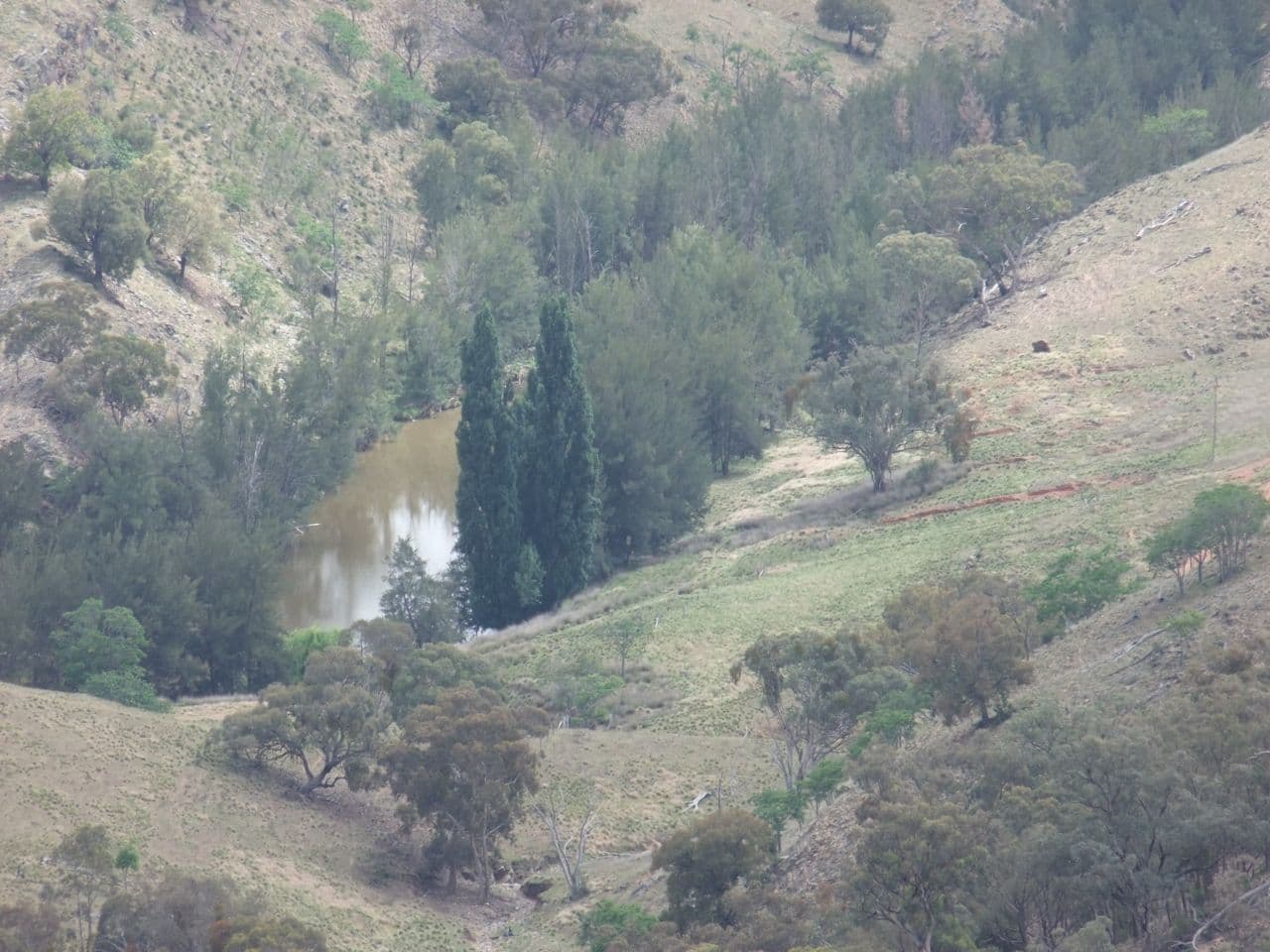 212 Quartz Ride Road, Turondale NSW 2795, Turondale - Thumbnail 3