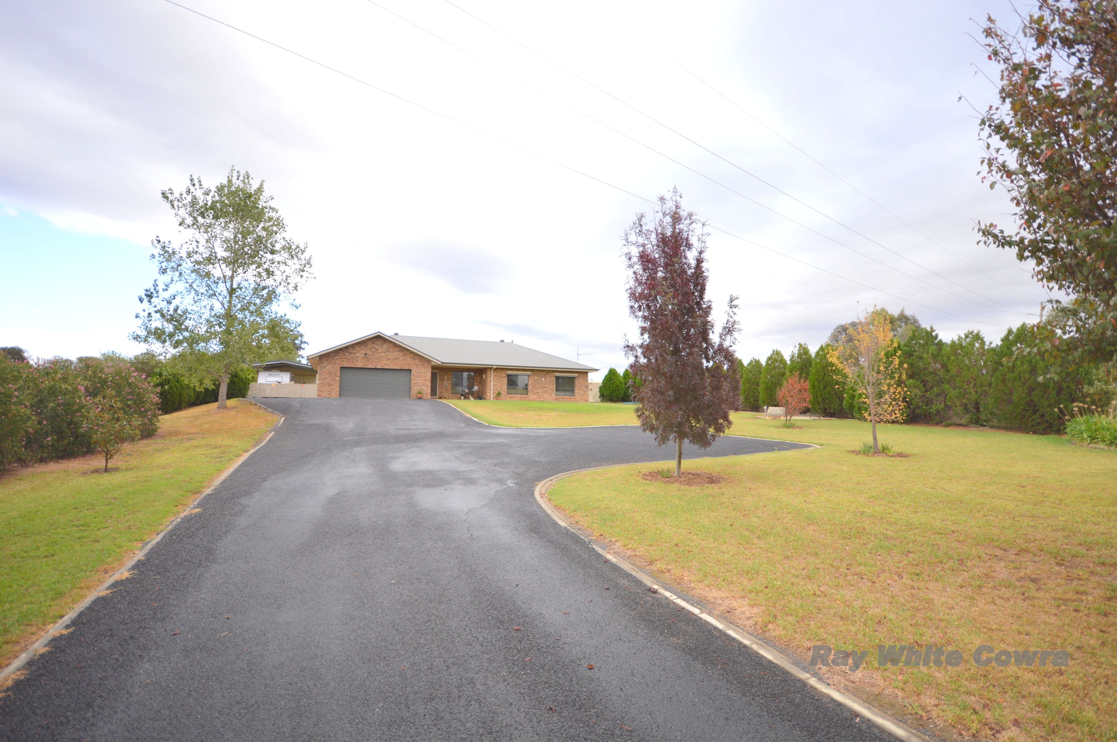 50 Dawson Drive, Cowra - Thumbnail 2