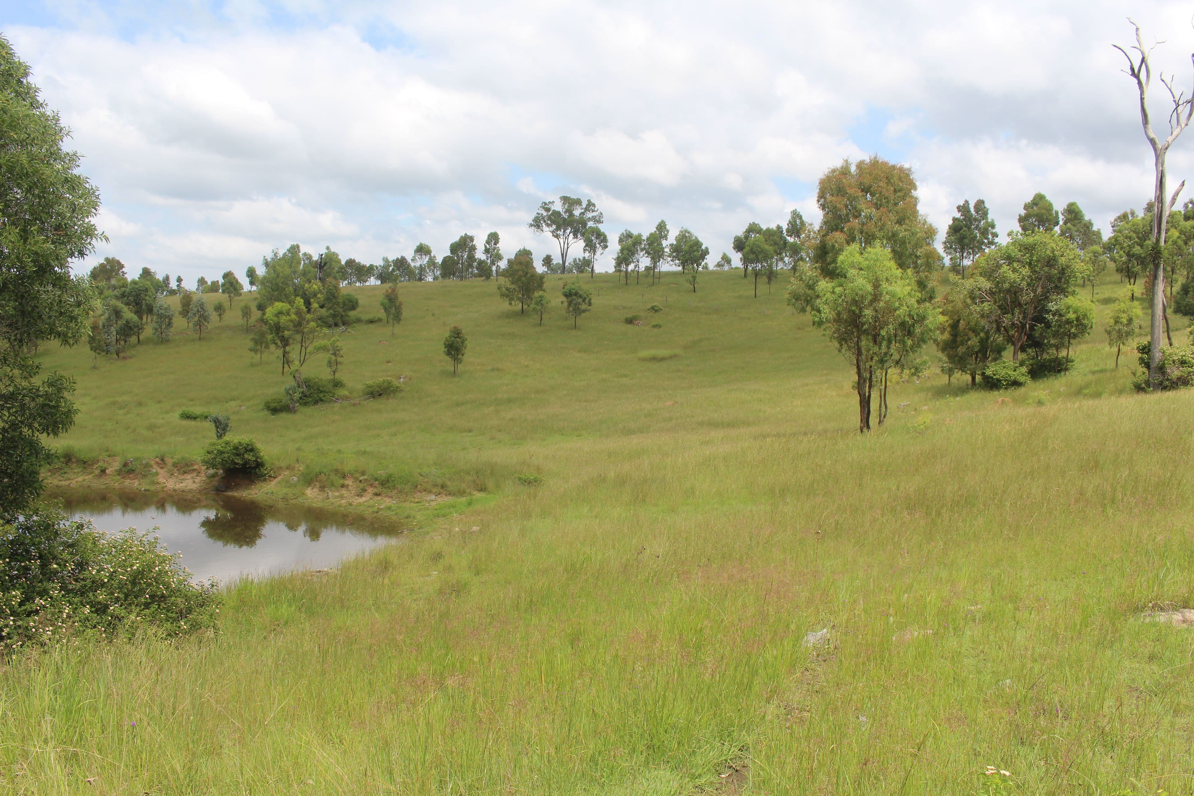 Lot 5 Old Esk North Road, South East Nanango QLD 4615, South East Nanango - Image 1