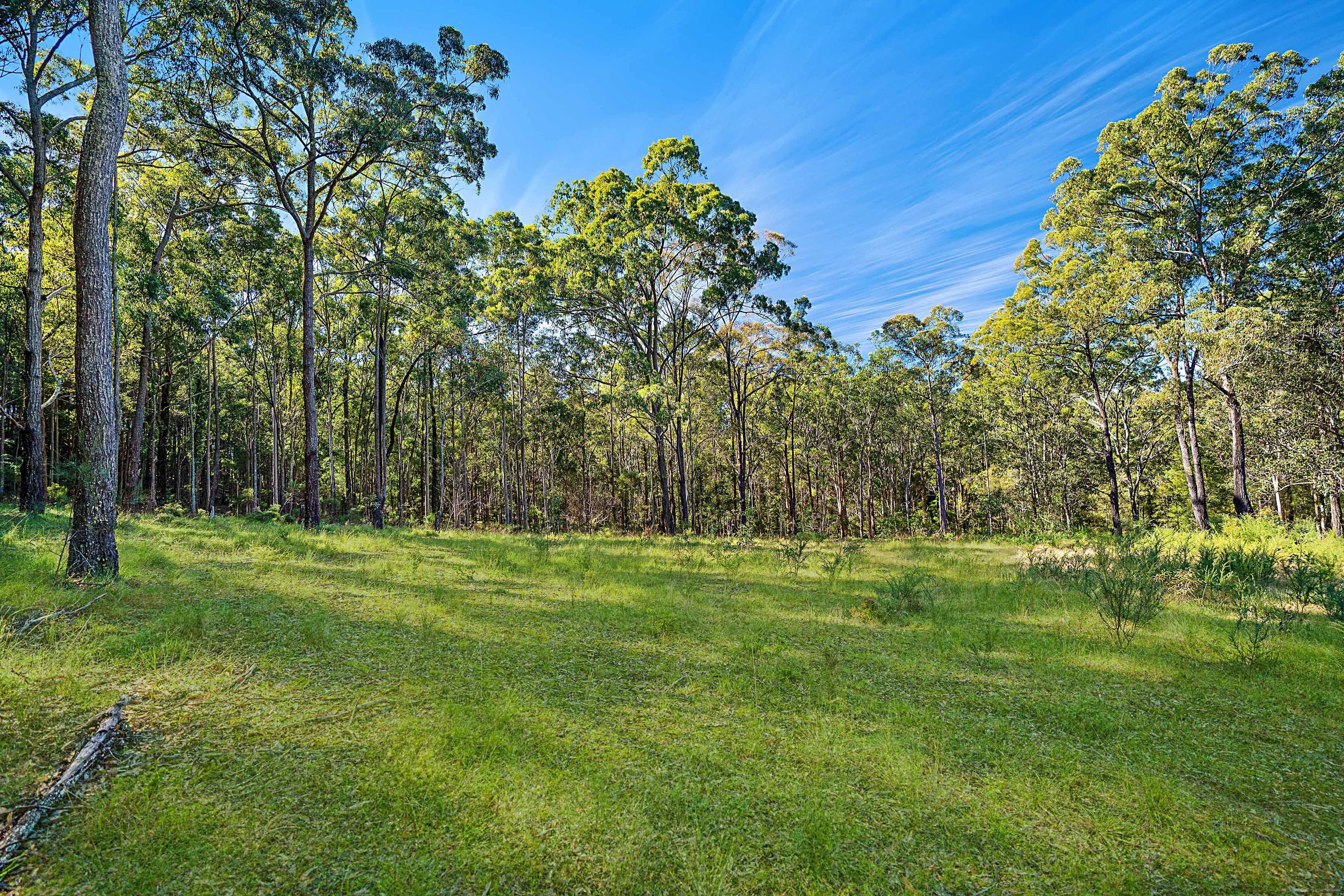 658 Mandalong Road, Mandalong NSW 2264, Mandalong - Thumbnail 8