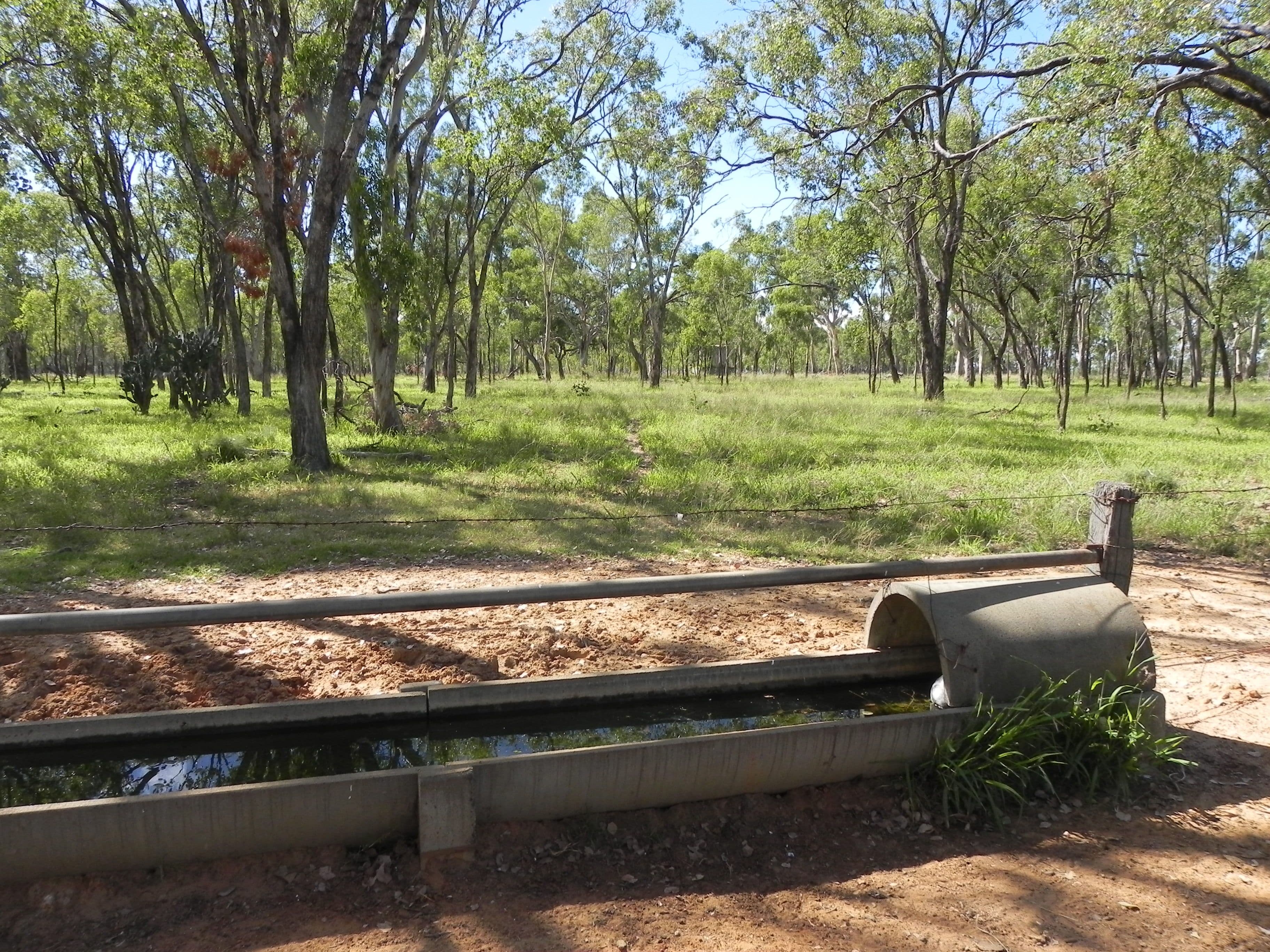 1663 Millmerran Leyburn Road, Tummaville QLD 4352, Tummaville - Thumbnail 3