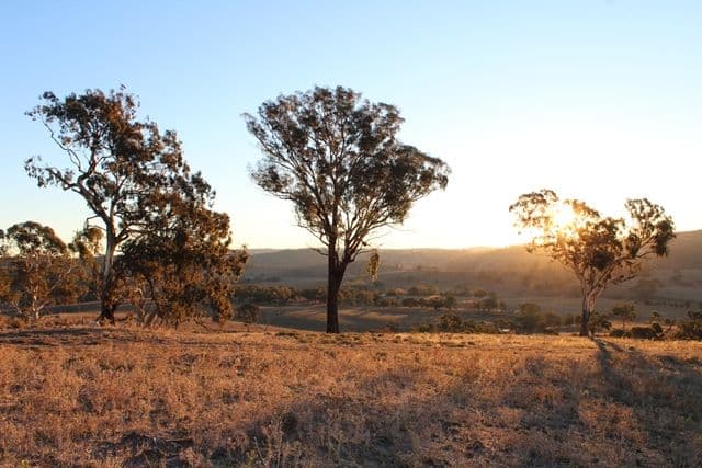 Lot 22 25 Todds Road, Wisemans Creek NSW 2795, Wisemans Creek - Thumbnail 8