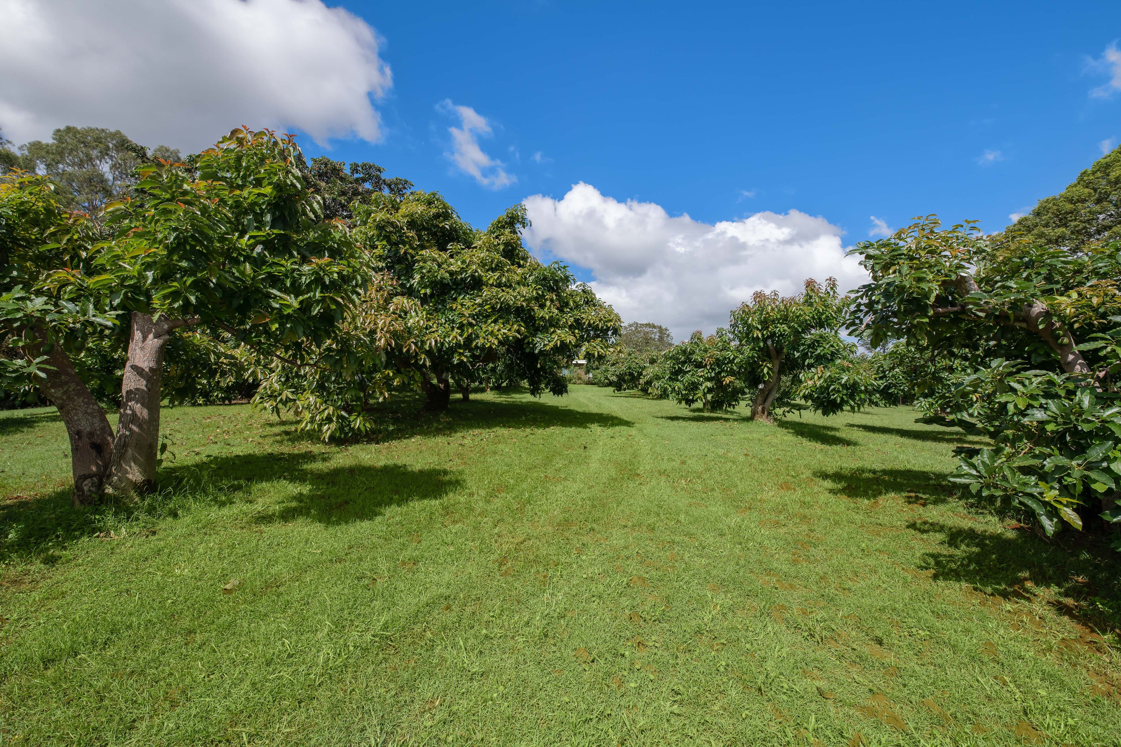 147 Obi Obi Road, Mapleton QLD 4560, Mapleton - Thumbnail 3