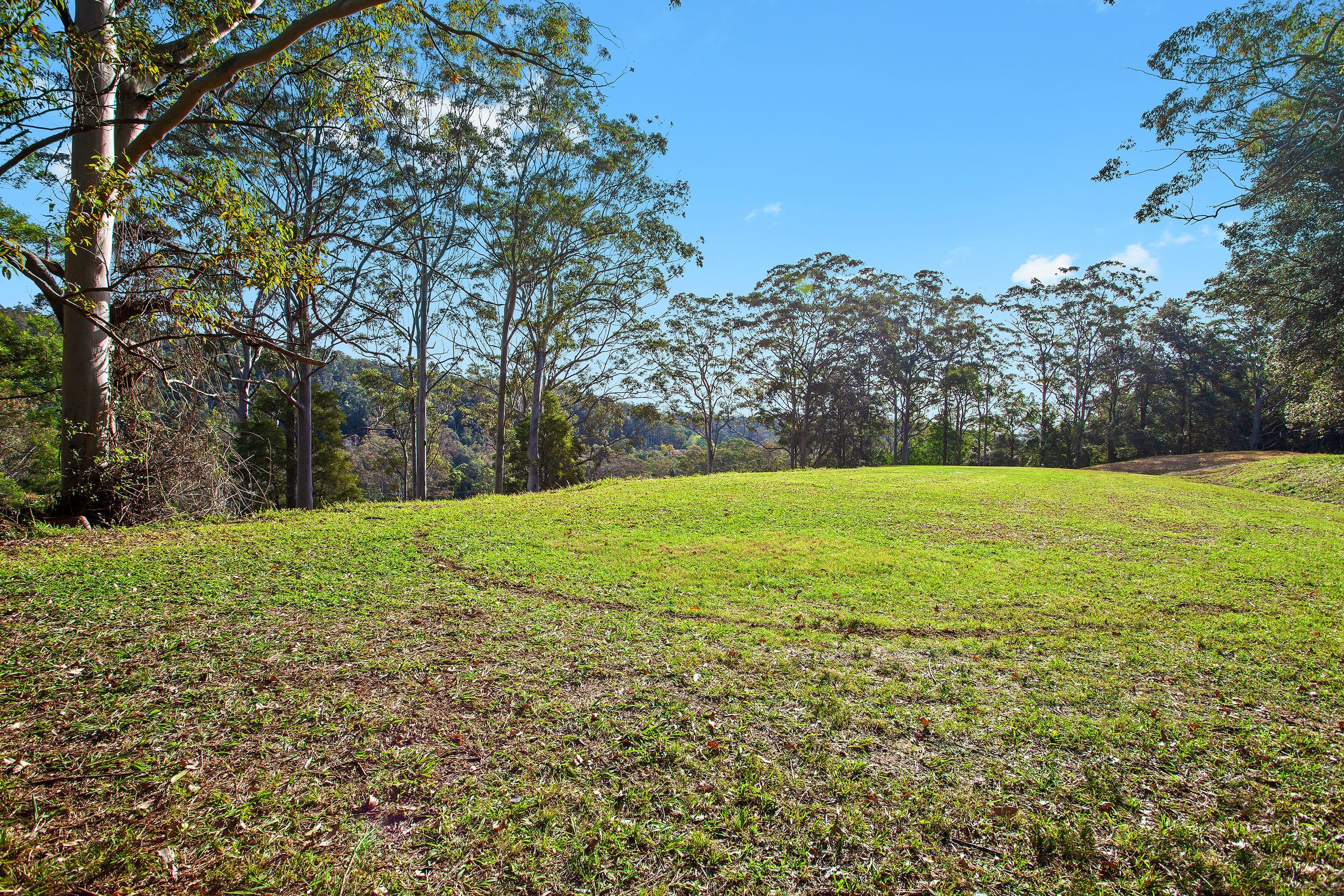 24 Stenning Lane, Fountaindale NSW 2258, Fountaindale - Thumbnail 4