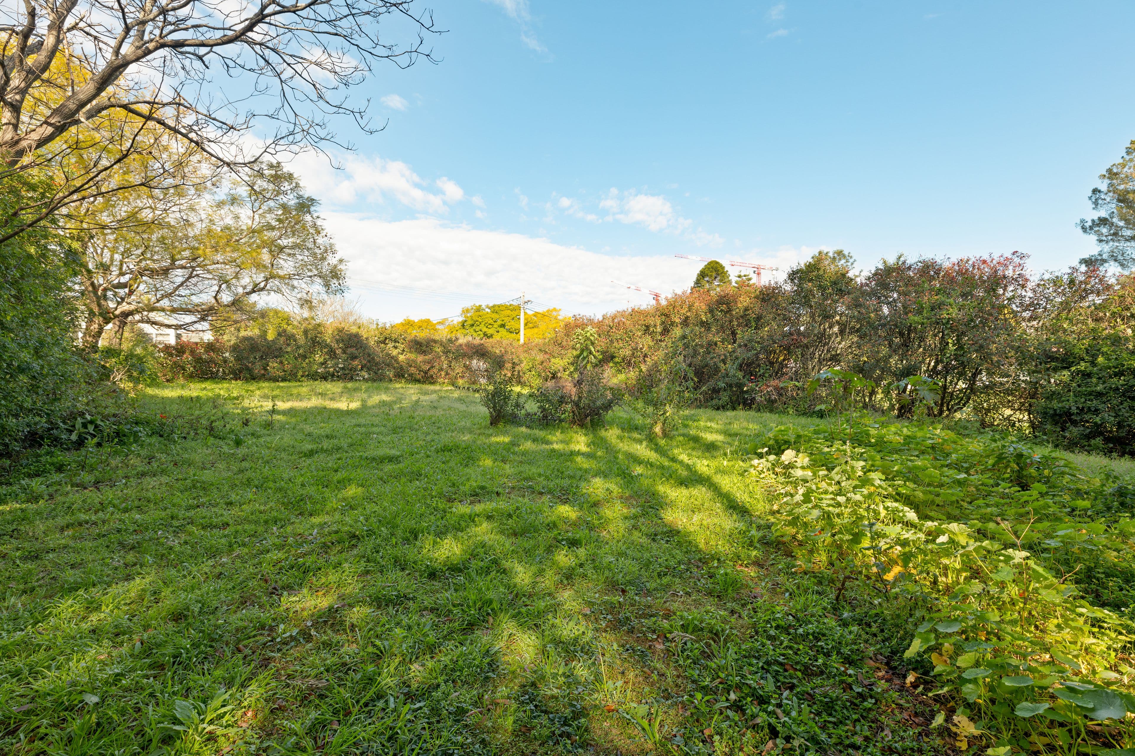 27 Hyam Street, Nowra NSW 2541, Nowra - Thumbnail 6