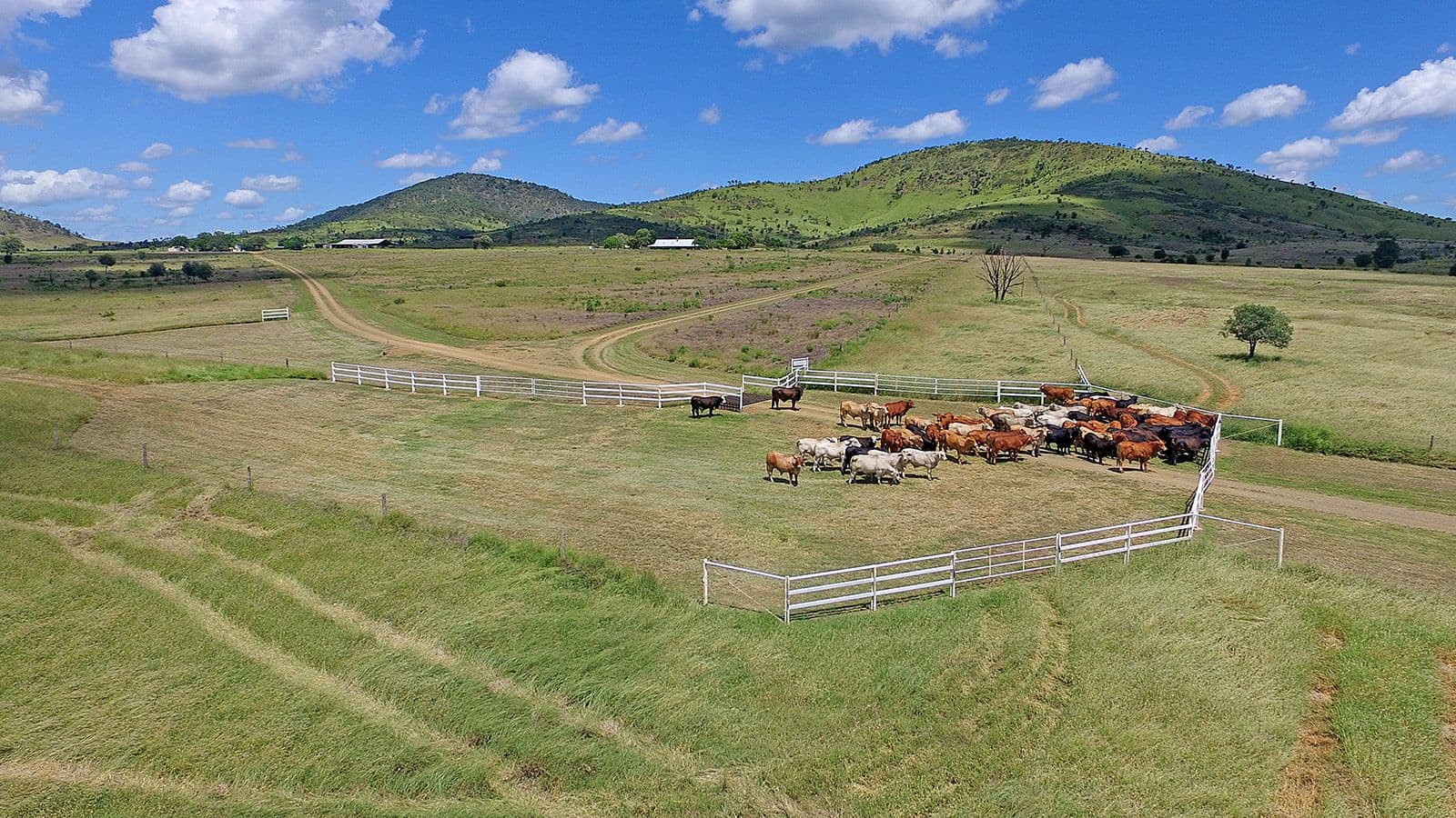 "Comanche"1820 Comanche Road, Glenroy QLD 4702, Glenroy - Thumbnail 2